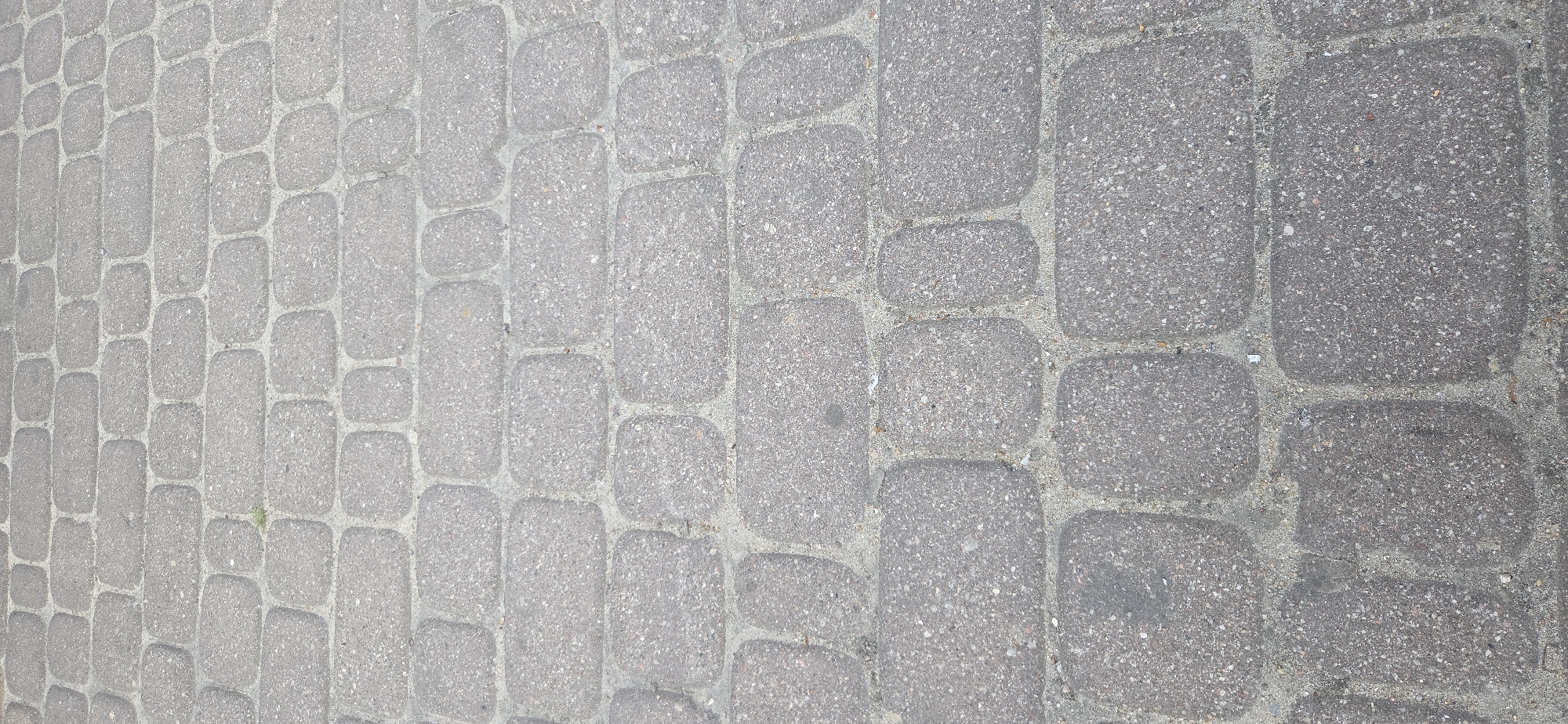 The image shows a close-up, angled view of a grey cobblestone pathway. The cobblestones are rectangular with rounded edges and are laid in a staggered pattern. The texture of the stones is rough, with visible aggregate. The gaps between the stones are filled with sand or fine gravel. There is a small patch of green grass growing between two cobblestones in the upper left quadrant of the image. The lighting suggests it is daytime, with diffused light. The scene is likely outdoors, on a pedestrian walkway, square, or street. No people or specific landmarks are visible. This type of paving is common throughout various urban areas, including historical districts in cities like Warsaw, Poland.