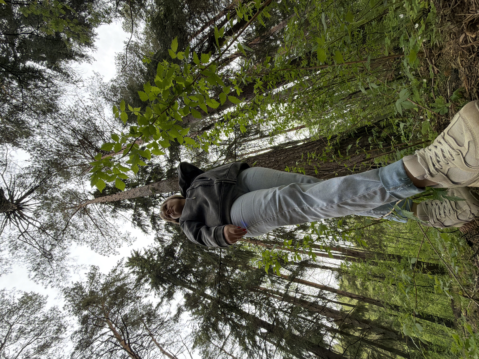 A young woman stands in a forest, looking up towards the camera. She is wearing light blue jeans, a grey hoodie, and beige sneakers. She appears to be holding a small twig with leaves. The scene is surrounded by tall trees, and the sky is visible through the canopy. The location is Chaikovsky, Russia.