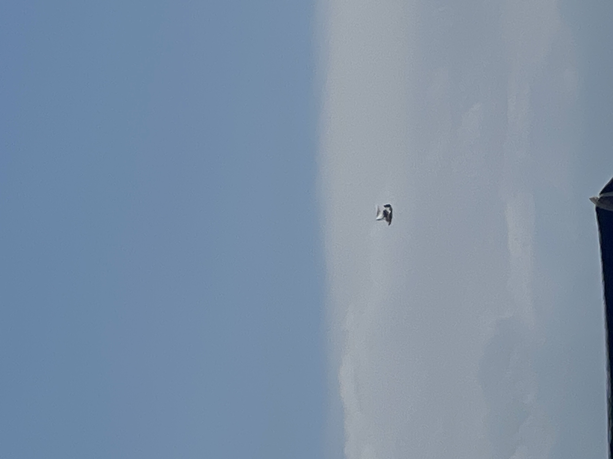 The image shows a clear blue sky with some scattered clouds. In the center of the frame, a small object is visible in flight, appearing to be a drone or a kite. It is black and white and has a distinctive shape. The object is positioned against the backdrop of a cloudy sky. The bottom part of the image shows a dark blue structure, possibly a roof or a building, which is out of focus. No specific landmarks or context indicating the city of Bosteri, Kyrgyzstan are discernible in this image.