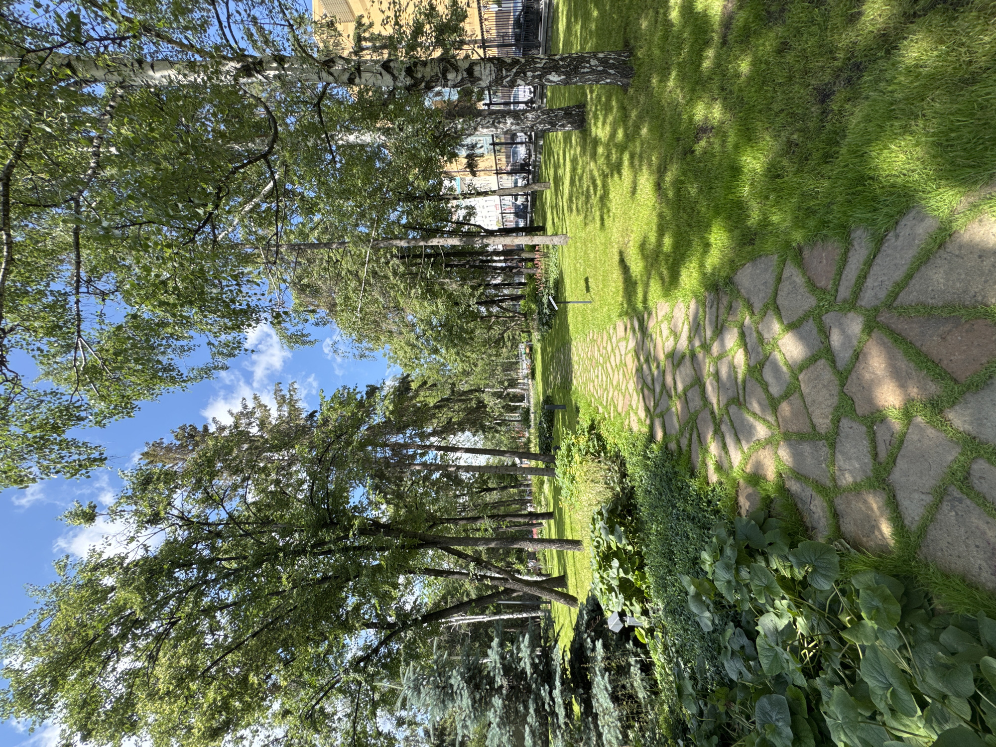 The image depicts a paved pathway made of irregular stones interspersed with grass, winding through a verdant park. Lush green trees, including birches with distinctive white bark, line the pathway, casting dappled shadows on the well-maintained lawn. In the foreground, a dense cluster of broad-leafed plants and a conifer add to the rich greenery. Beyond the trees, a modern building with a yellow facade is visible, and a black wrought-iron fence separates the park from a street where cars are parked. The sky above is a vibrant blue with scattered white clouds, indicating a clear, sunny day. This park is likely part of a residential complex or public space in Yekaterinburg, Russia, offering a tranquil urban oasis.