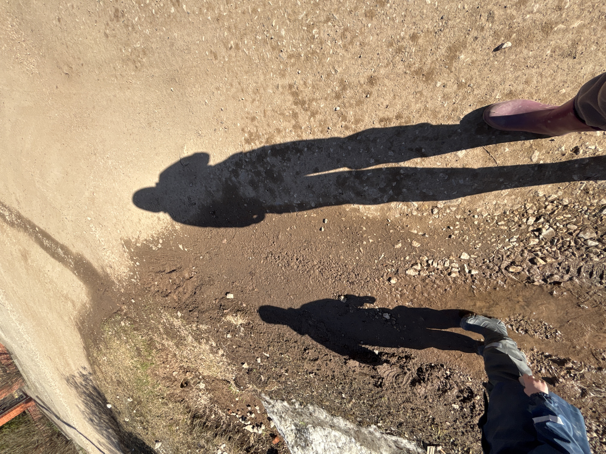 View from an elevated position, looking down on a dirt and gravel surface in Ферма, Russia. Shadows of two people are visible, both wearing boots; one wears a rubber boot, and the other wears a gray or black waterproof boot and blue pants. There is a puddle of muddy water, and patches of dirt and gravel. Some snow is also present.