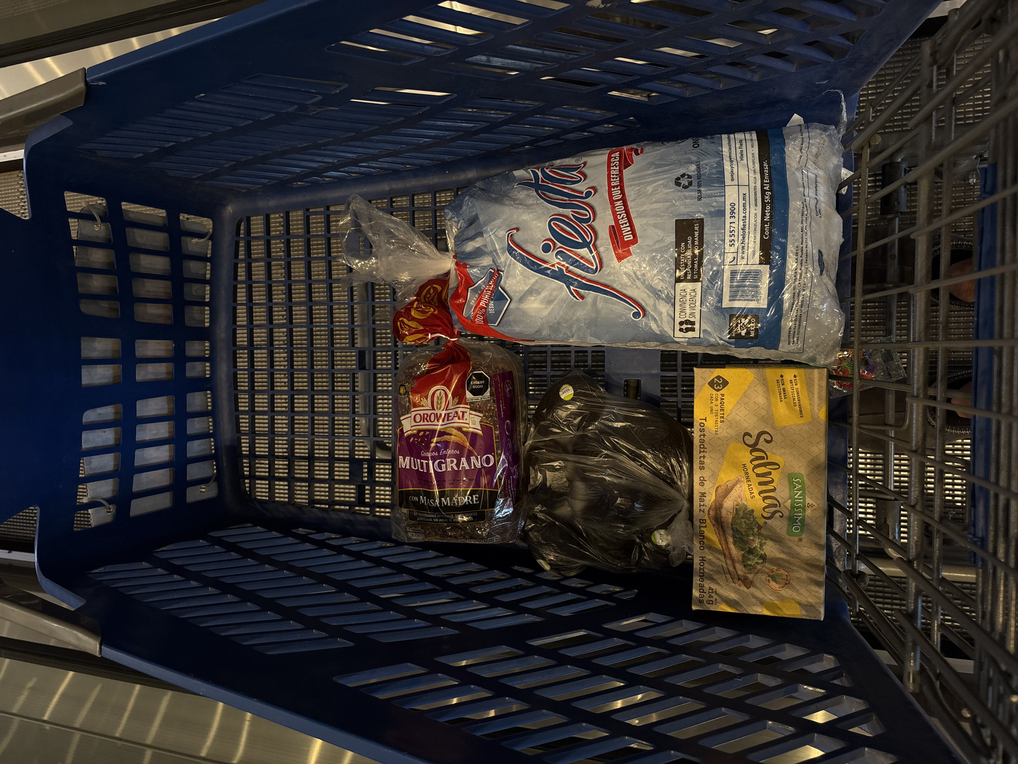 An overhead view captures the contents of a blue plastic shopping cart, likely positioned on a moving walkway or escalator inside a grocery store. The ribbed metallic surface of the walkway is visible around and beneath the cart.
The cart contains four distinct grocery items. On the far side, a large, light blue bag of "Fiesta" brand ice, labeled "DIVERSION QUE REFRESCA" (Fun that refreshes), prominently displays "100% PURIFICADA DESDE 1990" (100% purified since 1990) and responsible consumption messages like "ENFIESTATE CON RESPONSABILIDAD SI TOMAS...NO MANEJES" (Party responsibly, if you drink... don't drive). It states a "Cont. Neto: 5Kg Al Envasar" (Net content: 5Kg upon packaging) and includes a website and phone number.
Below the ice bag, a package of "OROWEAT" "MULTIGRANO CON MASA MADRE" (Multigrain with sourdough) bread is visible, marked "Granos Enteros" (Whole Grains) and "EXCESO SODIO" (Excess Sodium). Next to the bread is a dark, possibly black, plastic bag containing produce, likely avocados, identified by small circular stickers.
On the right side of the cart, a beige box of "Salmas" by "SANISSIMO" is visible. The box indicates "Tostaditas de Maiz Blanco Horneadas" (Baked White Corn Tostaditas) and specifies "23 PAQUETES CON 3 TOSTADITAS CADA UNO" (23 packets with 3 tostadas each), totaling "414g." Additional text mentions "SIN GRASA ADICIONADA" (No added fat) and "SIN CONSERVADORES ARTIFICIALES" (No artificial preservatives).
The presence of a shopping cart filled with groceries and its placement on a moving walkway suggests a shopping trip concluding, likely in a supermarket in San Bernardino Tlaxcalancingo, Mexico, as indicated by the Spanish language on all product labels and the "HECHO EN MEXICO" (Made in Mexico) marking on several items. A person's feet are faintly visible on the right, suggesting the shopper is accompanying the cart.