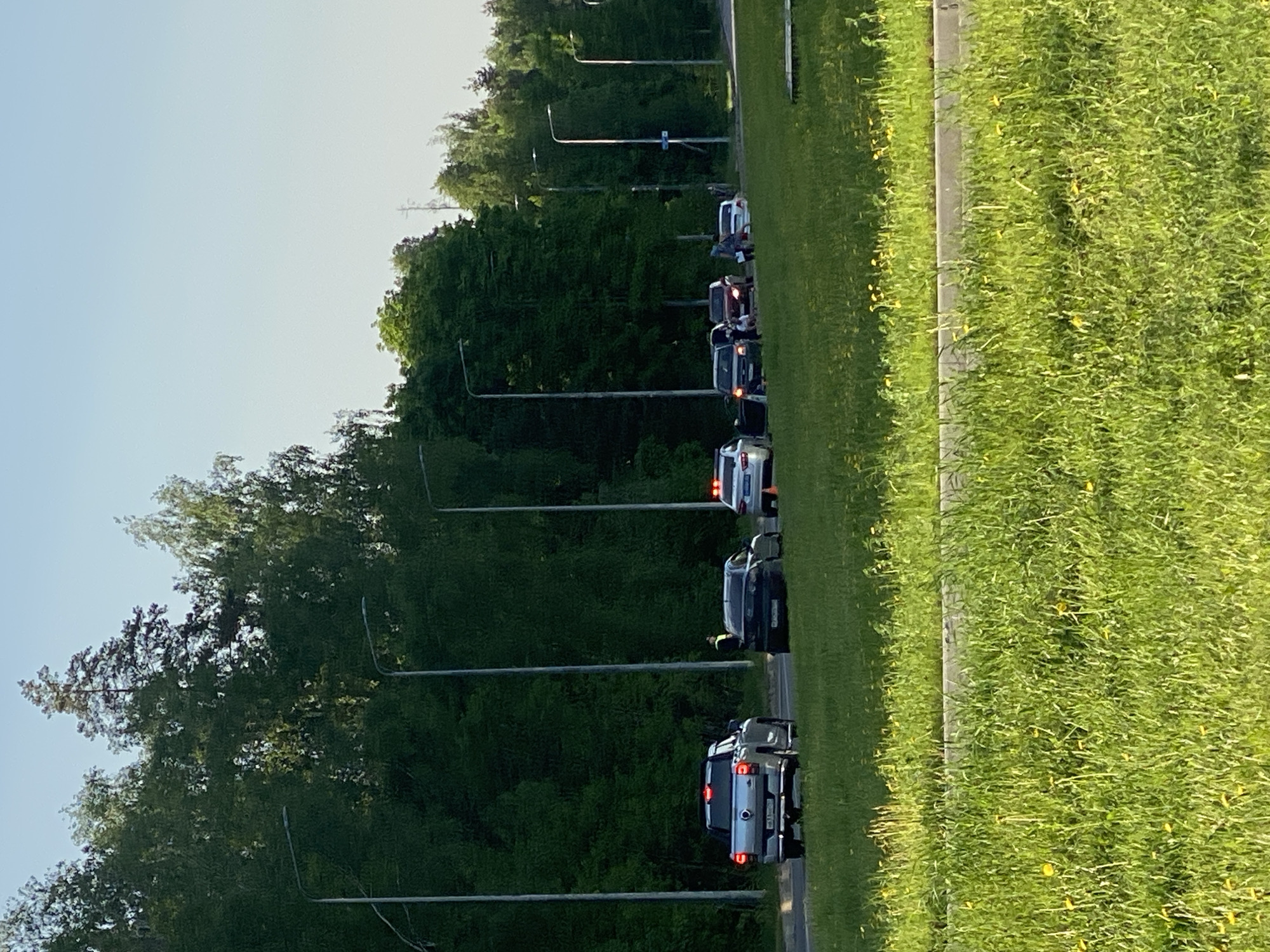 The image depicts a line of vehicles stopped on a road adjacent to a green grassy area. Trees and streetlights line the left side of the road. One individual stands near a vehicle. The location is in an unknown city and state.