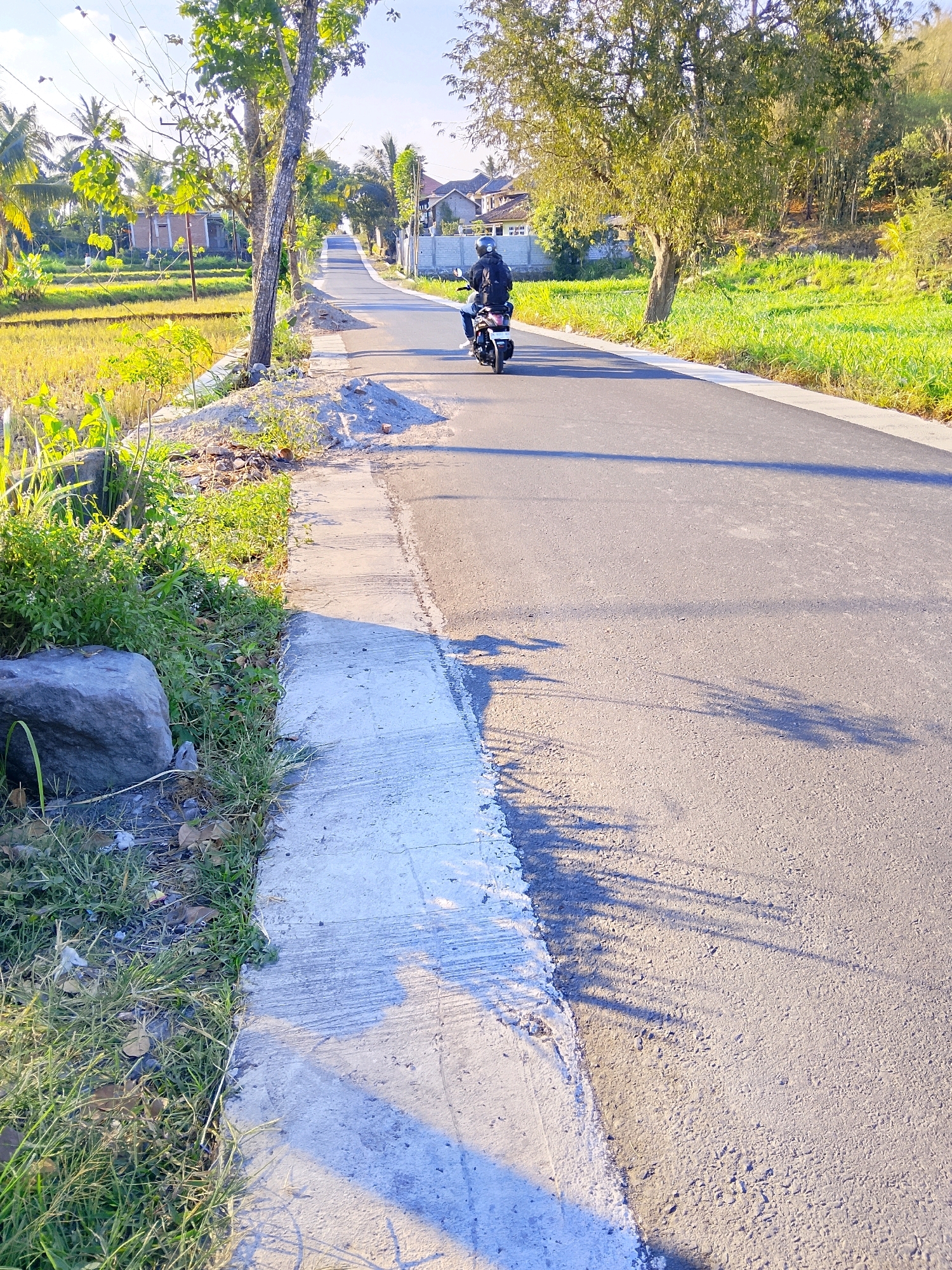 An individual wearing a black jacket and helmet rides a white motorcycle down a paved road. The road is bordered by a concrete sidewalk and a grassy area with a large rock. On the left side of the road, there is a rice field. On the right side, there are green fields and trees. In the distance, there are houses and more trees. The sun is shining, casting shadows on the road.