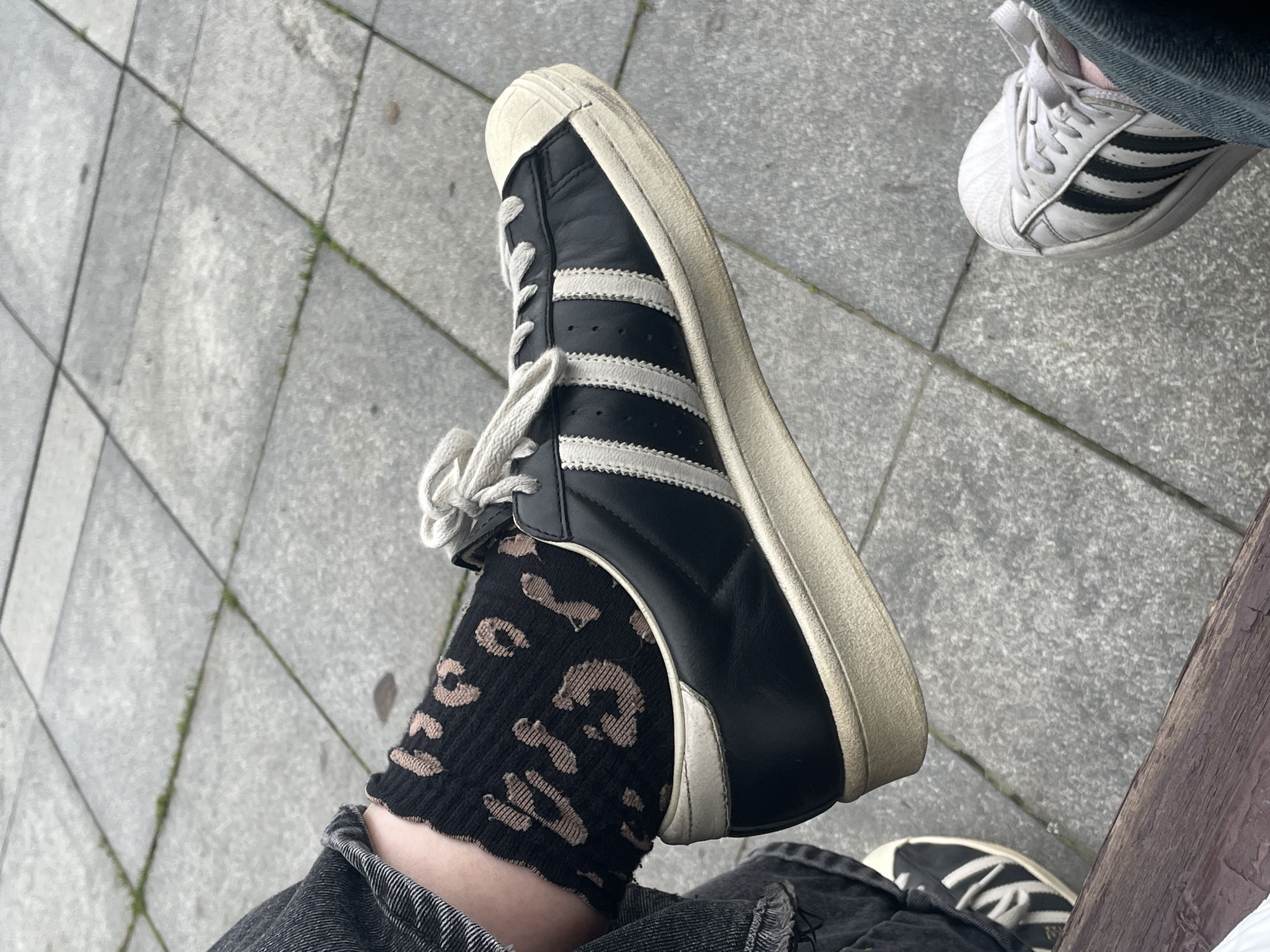 This image features a close-up view of a person's feet, wearing black Adidas Superstar sneakers with white stripes and laces, and black socks with a tan leopard print pattern. The person is also wearing dark denim jeans. Another person's white Adidas sneakers with black stripes are visible in the upper right corner of the image. The subjects are sitting on a bench next to a sidewalk paved with grey square tiles. The lighting suggests it is daytime, and the weather appears to be mild, as there is no visible indication of rain or extreme temperatures. The scene is likely set in an urban environment, possibly in Moscow, Russia, given the paving style and the presence of public seating. There is no visible text in the image.