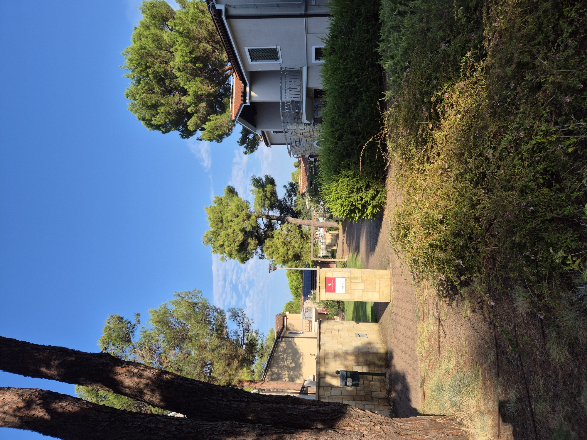This image captures a residential area in Umag, Croatia, on a bright, sunny day. The scene features a pathway made of reddish-brown pavers, bordered by a thick, green hedge on the right and a textured stone wall on the left. A large tree trunk, with dark, rough bark, stands prominently in the foreground on the left, casting shadows. Beyond the wall, a light-colored building with a red-tiled roof is visible, featuring a balcony with a metal railing. Further back, more buildings and trees are scattered throughout the landscape, under a clear blue sky with a few wispy clouds. A street lamp is positioned near a stone pillar with a red sign indicating a location number, 725-736. The overall impression is one of a serene, well-maintained residential complex surrounded by lush greenery and mature trees.