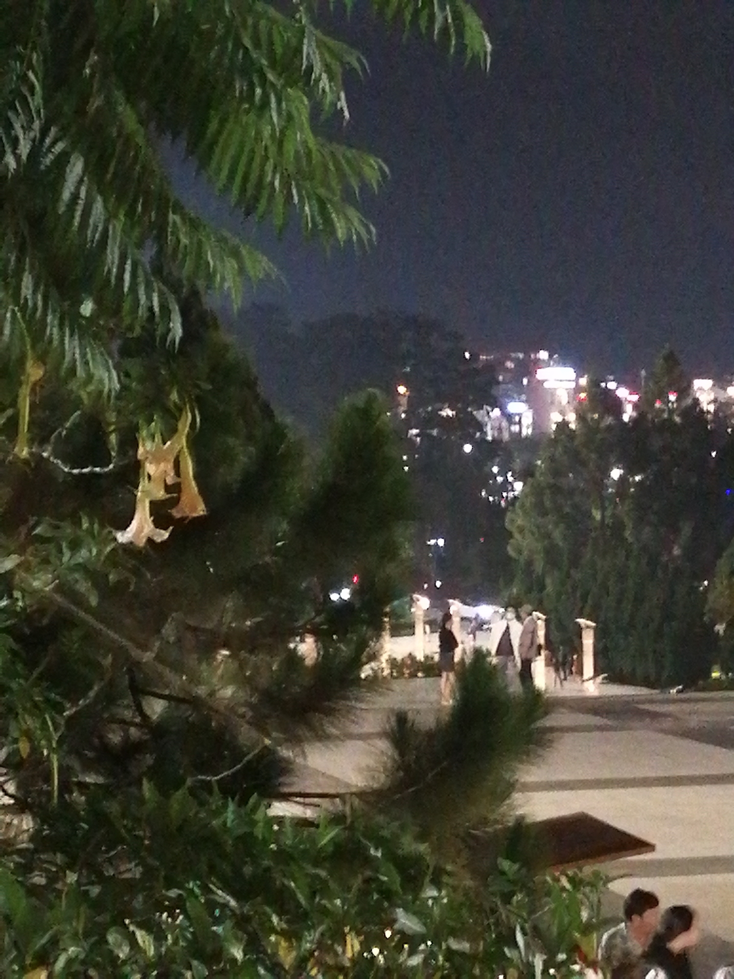 In Da Lat, Vietnam, at night, a foreground of dark green foliage with pale yellow flowers hangs from a tree. Beyond the foliage, a pathway is visible with several people walking. The pathway is lined with trees and low-lying bushes. In the middle ground, a group of people are walking. Further back, a city skyline is illuminated with many lights. The overall scene is dark and atmospheric, suggesting a cool evening in a mountainous city.