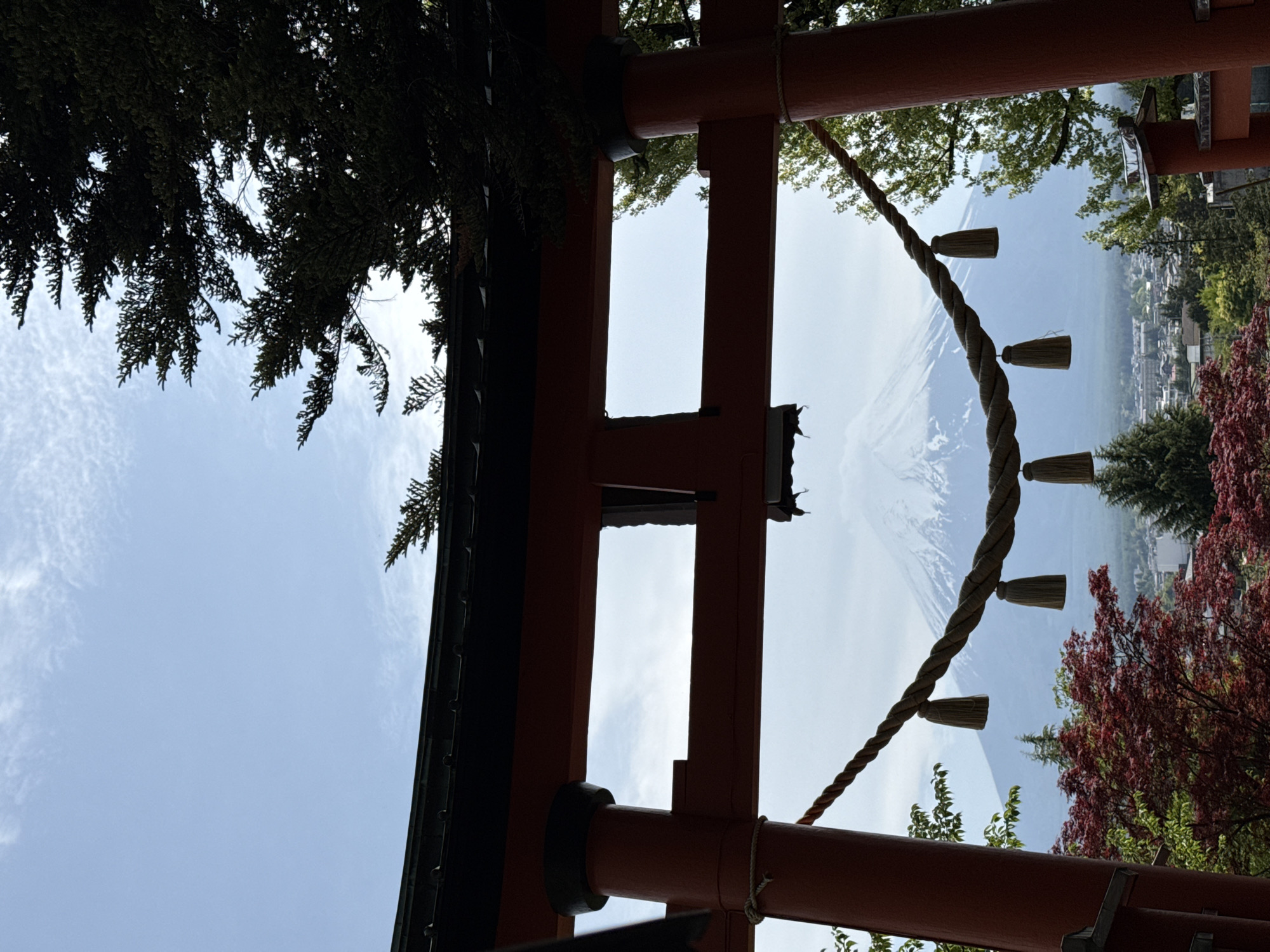 The image, correctly oriented as a landscape, captures a classic and majestic view of Mount Fuji framed by a traditional Japanese torii gate and natural foliage, set in Fujiyoshida, Japan.
In the immediate foreground, parts of a large, weathered red wooden torii gate are visible on the left, top, and right edges, creating a natural frame. A thick, braided shimenawa (sacred rope) with several light-colored tassels hangs diagonally across the right side, extending from the gate structure. Dark green coniferous trees, possibly pines or cedars, are silhouetted against the sky, draping down from the top and left, while a vibrant red-leafed tree is prominent on the lower right.
Through the opening of the torii, a panoramic view unfolds. In the midground, a town or city, consistent with Fujiyoshida, is visible with its buildings nestled among scattered green trees. Looming grandly in the background is the iconic, snow-capped peak of Mount Fuji, its symmetrical slopes and white crown distinct against the pale blue sky. The sky is bright and clear, with only a few faint, wispy clouds.
The scene depicts a serene and picturesque moment under bright daylight, suggesting either morning or afternoon with excellent visibility. The presence of snow on Mount Fuji indicates a season other than peak summer. There is no human activity or visible text. The overall impression is one of natural beauty and spiritual significance, characteristic of a revered Japanese landscape.