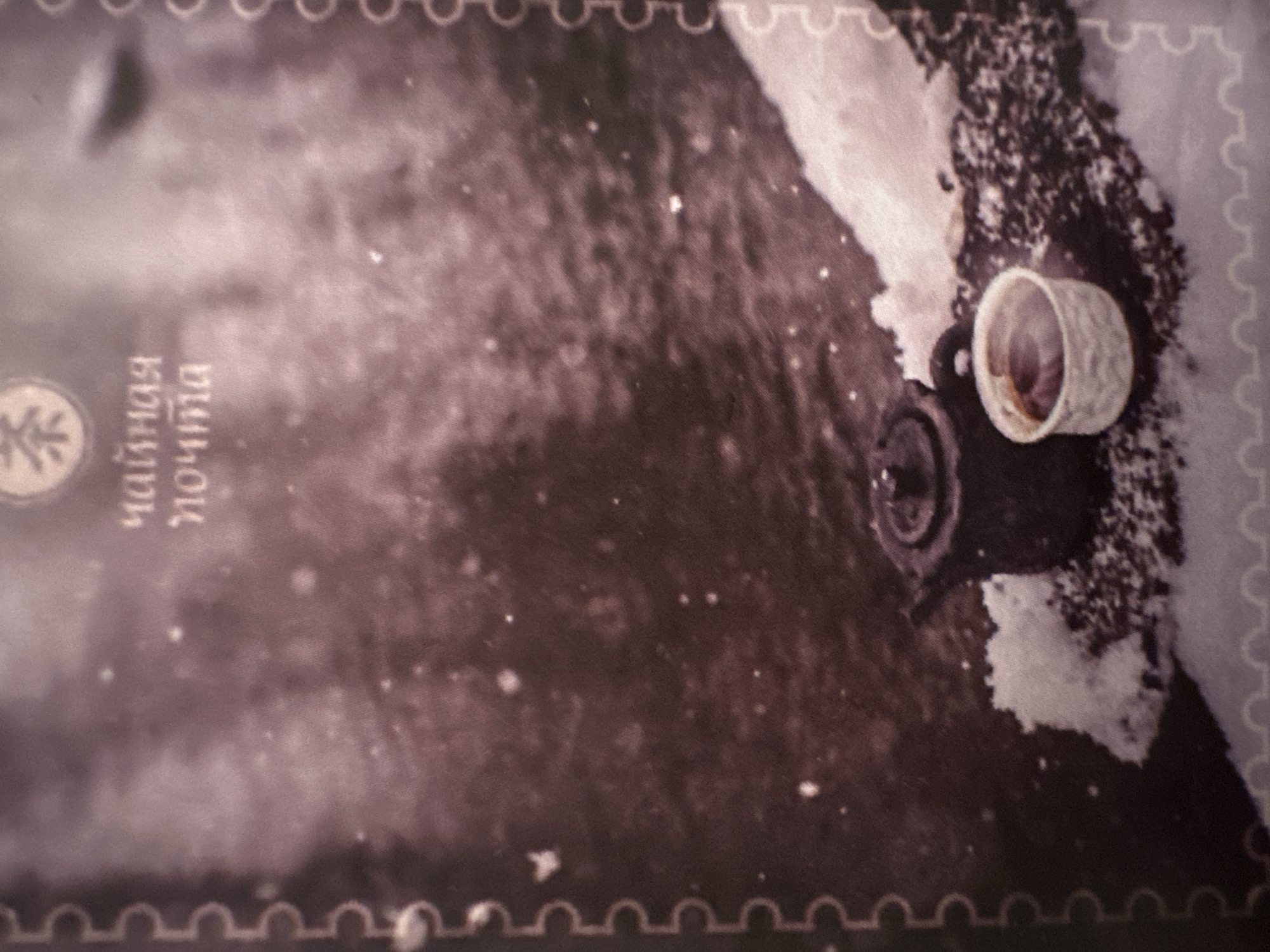 The image depicts a close-up of a stamp with a rustic, vintage aesthetic. The background appears to be a softly blurred, dark body of water, possibly a river or lake, with a textured surface. Snow is visible in the foreground, covering a patch of ground with a few dark, granular elements, likely small stones or dirt.
Positioned on the snow-covered ground are two objects: a dark, traditional teapot with a lid and handle, and a small, white cup filled with a dark liquid, presumably tea or coffee. The cup has a textured, woven appearance. The scene is dusted with tiny white specks, which could represent snowflakes or a light snowfall.
At the top of the stamp, in stylized, light-colored Cyrillic text, are the words "чайная почта," which translates to "tea post." Above this text, within a circular emblem, is a symbol resembling a stylized leaf or plant, possibly representing tea. The outer edges of the image are bordered by a decorative, perforated pattern characteristic of postage stamps. The overall color palette is muted, dominated by sepia tones, grays, and whites, contributing to the antique feel. The location in Minsk, Belarus, is not discernible from the visual information provided in the image.