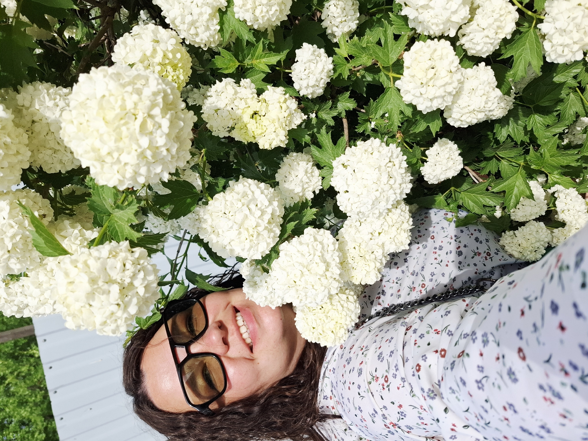 A woman wearing glasses and a floral-patterned shirt is lying beneath a bush with white snowball flowers, possibly Hydrangea arborescens 'Annabelle'. The background suggests an outdoor location, possibly a garden or park, in the city of Chaikovsky, Russia. The woman is smiling and appears to be taking a selfie.
