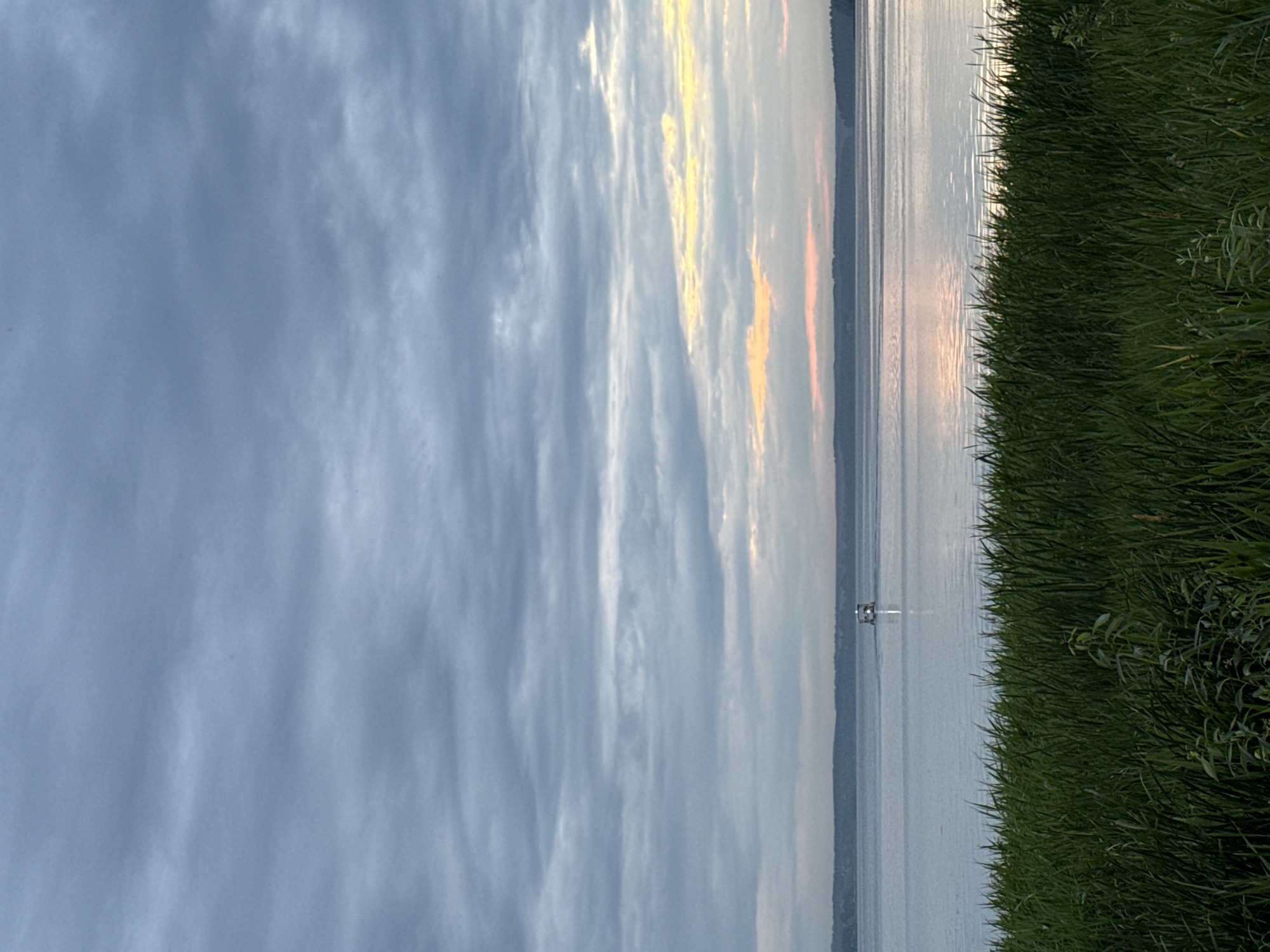 A boat sails on a calm body of water under a cloudy sky. Tall green grass lines the foreground. In the distance, a low, tree-covered horizon is visible. The sky is filled with various shades of grey clouds, with a hint of yellow and pink light breaking through on the right side, suggesting either sunrise or sunset. The water reflects the muted colors of the sky, with the boat creating a bright wake.