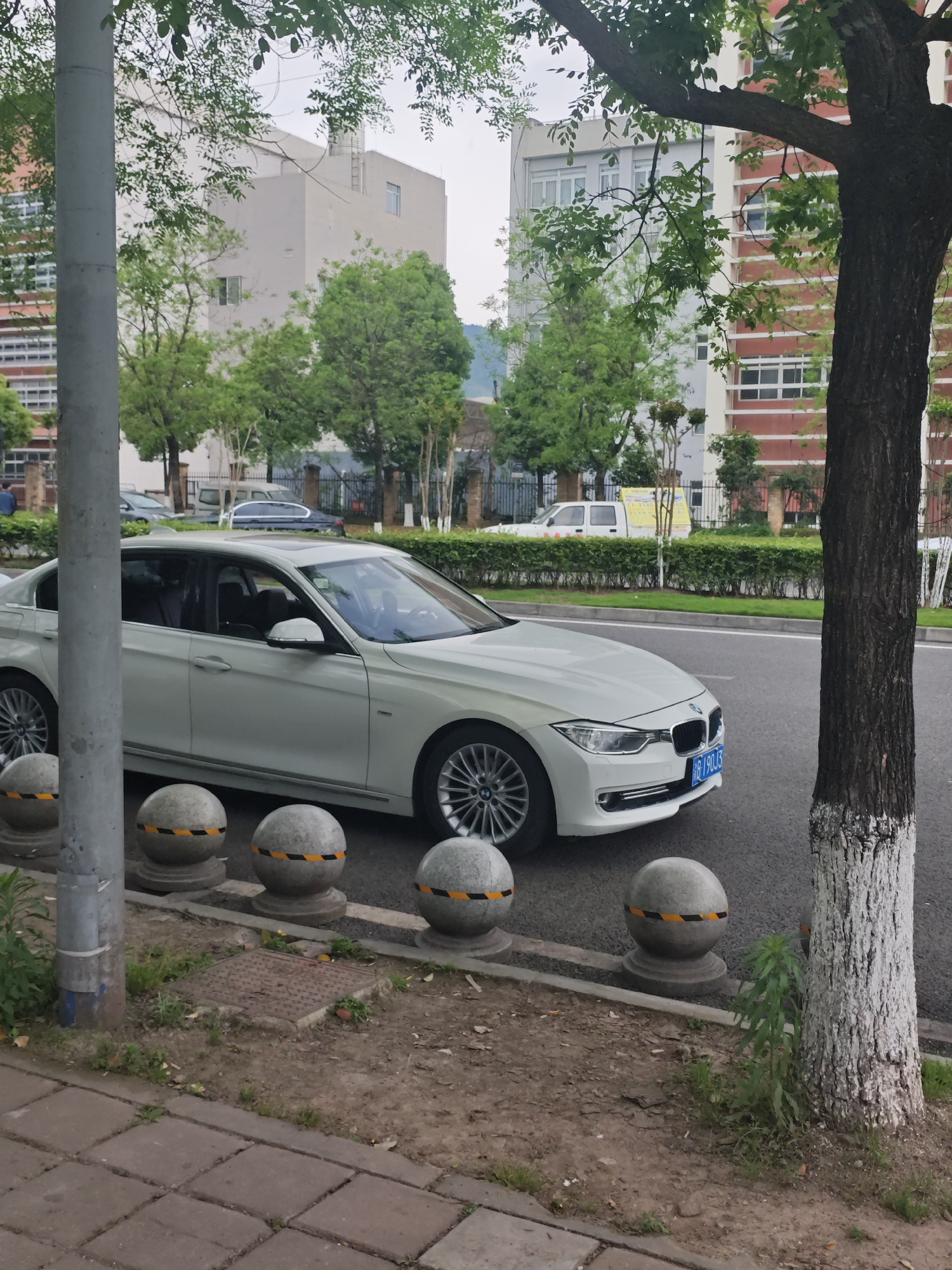 The image depicts a white BMW parked on the side of a road in an urban setting. A gray light post is on the left, and a tree with a whitewashed trunk is on the right, with green foliage in the background. Concrete bollards with yellow and black hazard stripes line the curb next to the sidewalk. Other cars and buildings are visible in the background, suggesting an urban environment. The license plate of the BMW is partially visible, with blue characters. The location is in an unknown city in China.