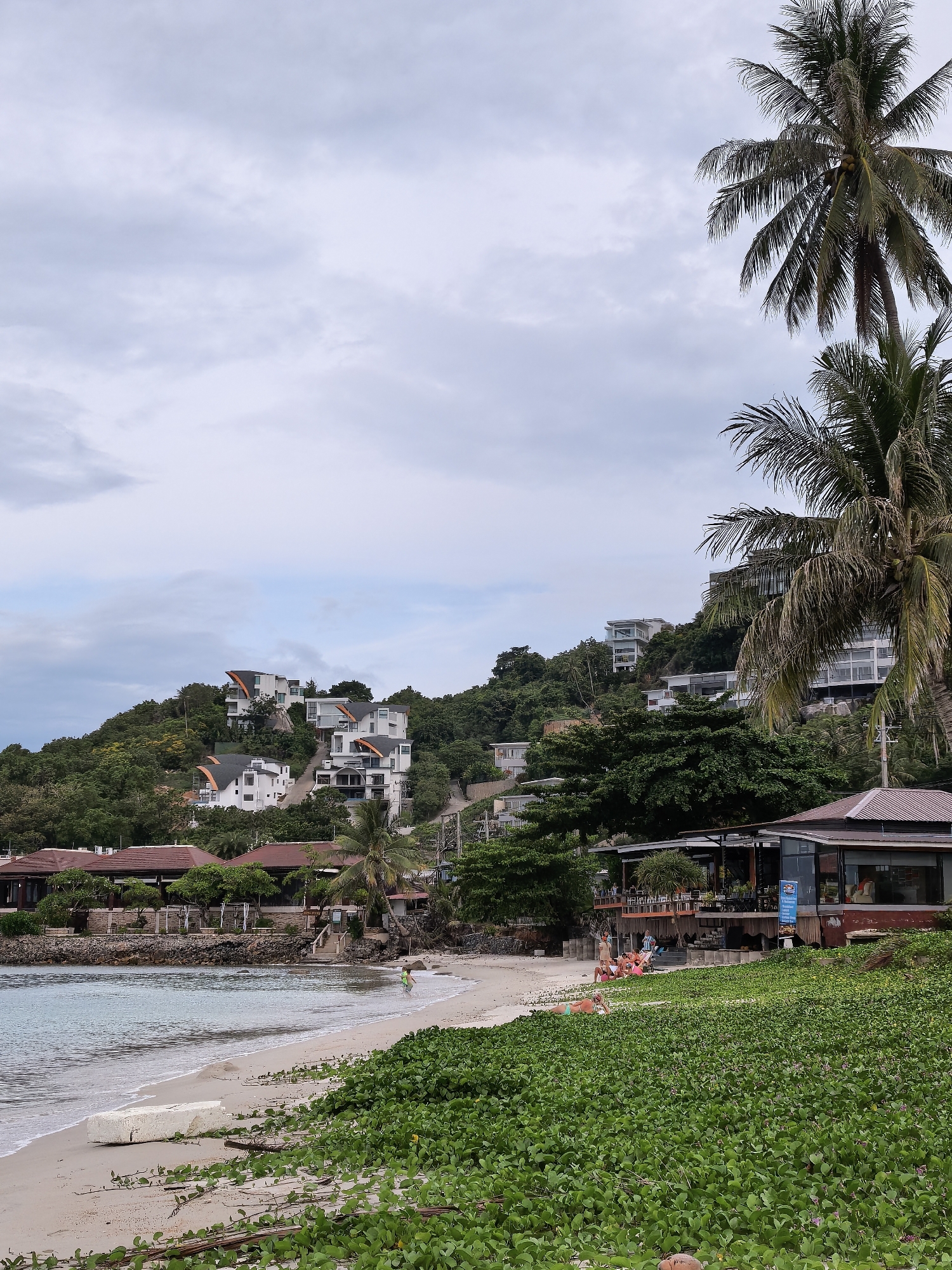 A wide-angle, vertical, eye-level shot captures a tropical beach scene on Ko Samui District, Thailand. The foreground features a sandy beach partially covered by lush green ground cover with small purple flowers. A large, rectangular, white object rests on the sand near the water's edge. Gentle waves lap the shore.
Further back, the beach transitions to a paved area with several people lounging or walking. A restaurant with a brown, tiled roof and large glass windows is situated on the beach, with outdoor seating visible. Beyond the restaurant, a hillside covered in dense green trees rises steeply.
Scattered across the hillside are several modern, multi-story buildings with white exteriors and distinctive, curved, dark-colored roofs. Some of these structures appear to be villas or residences. Two tall palm trees with lush fronds dominate the right side of the frame, partially obscuring the buildings on the hill. The sky above is overcast with diffused light.
