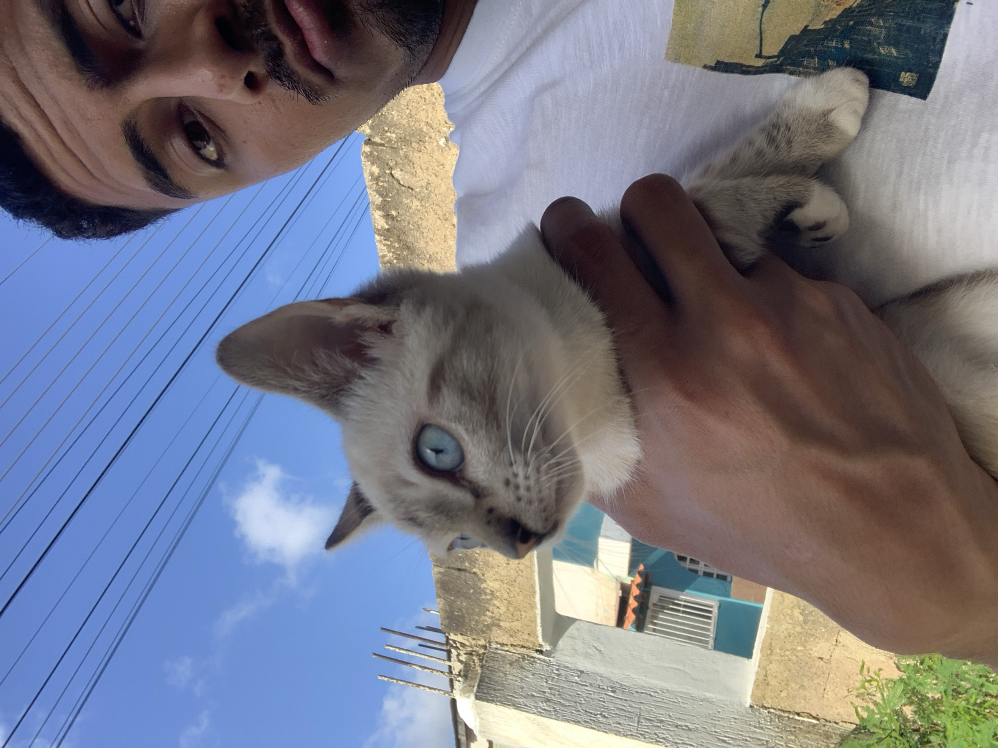 A person is holding a light-colored kitten with blue eyes against a backdrop of a blue sky with scattered clouds. The person's face is partially visible in the upper right corner, looking towards the camera. The kitten is held in the person's left hand, with its body facing left in profile. In the background, there is a building with a textured, yellowish wall and a section of a white and light blue wall with barred windows. The scene appears to be outdoors, possibly in a residential area.