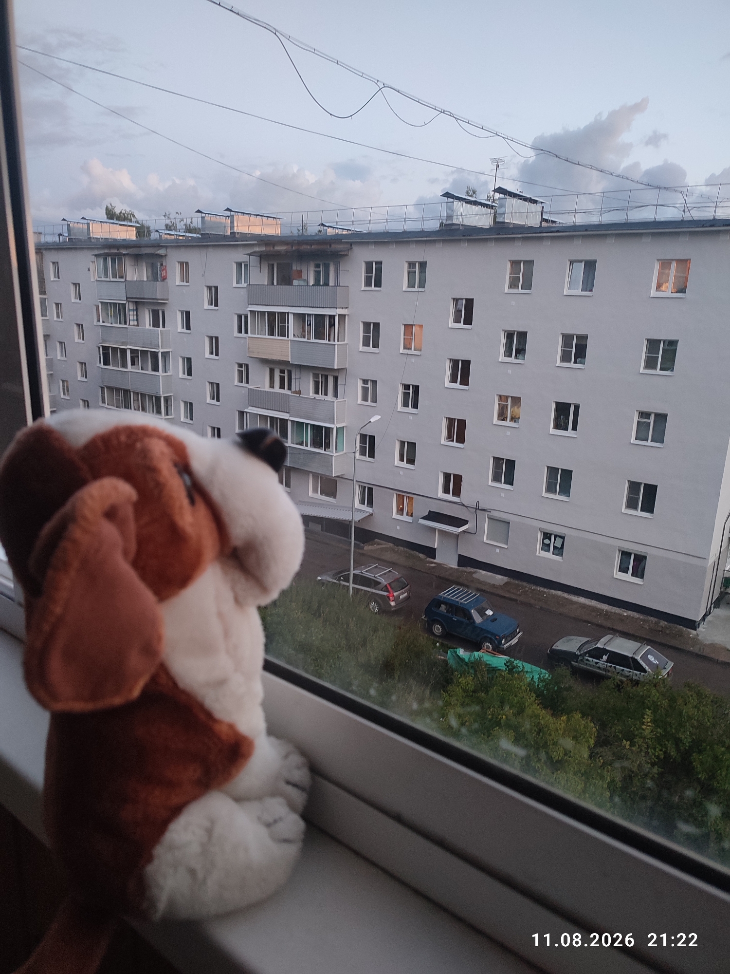 A stuffed dog sits on a windowsill, looking out at a grey apartment building. The building has multiple stories and many windows, some of which are lit from within. Outside the building, several cars are parked on the street. Trees and bushes line the street and surround the building. The sky is cloudy, and it appears to be dusk or early evening. The timestamp "11.08.2026 21:22" is visible in the bottom right corner of the image, indicating the photograph was taken on August 11, 2026, at 9:22 PM. The image was taken in Suoyarvi, Russia.