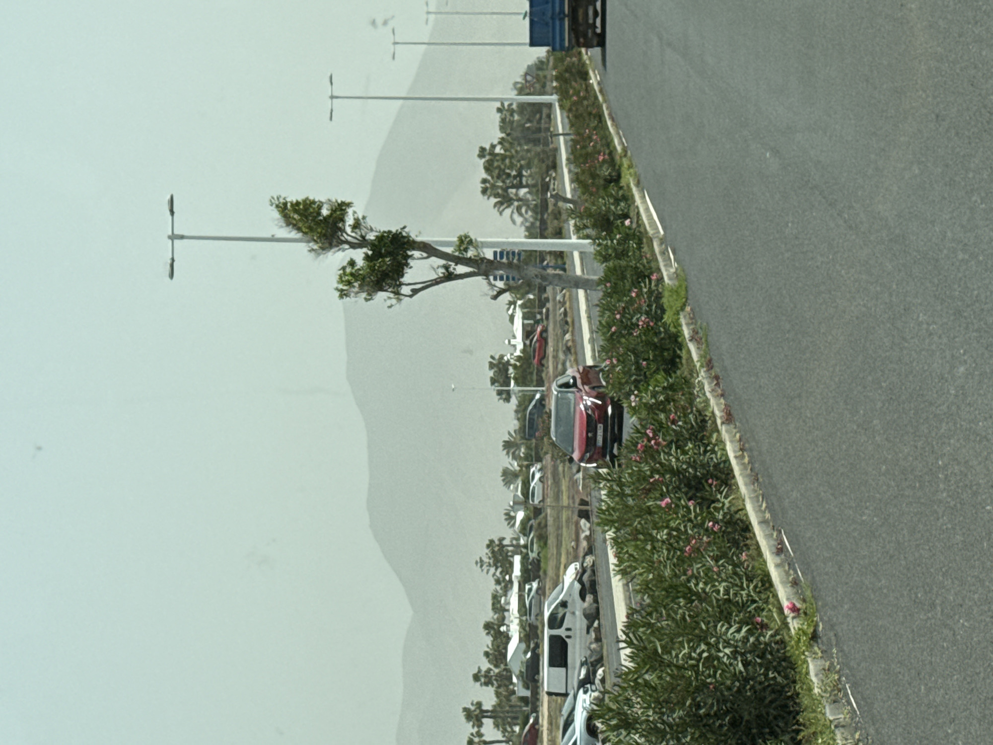 The image shows a parking lot in Yaiza, Spain, with several cars and vans parked. A road runs along the edge of the parking lot, separated by a curb and a strip of bushes with pink flowers. Light poles line the parking lot, and trees dot the area. In the background, a large, light-colored hill or mountain is visible under a hazy sky. The image is taken from an elevated angle, possibly from a moving vehicle.