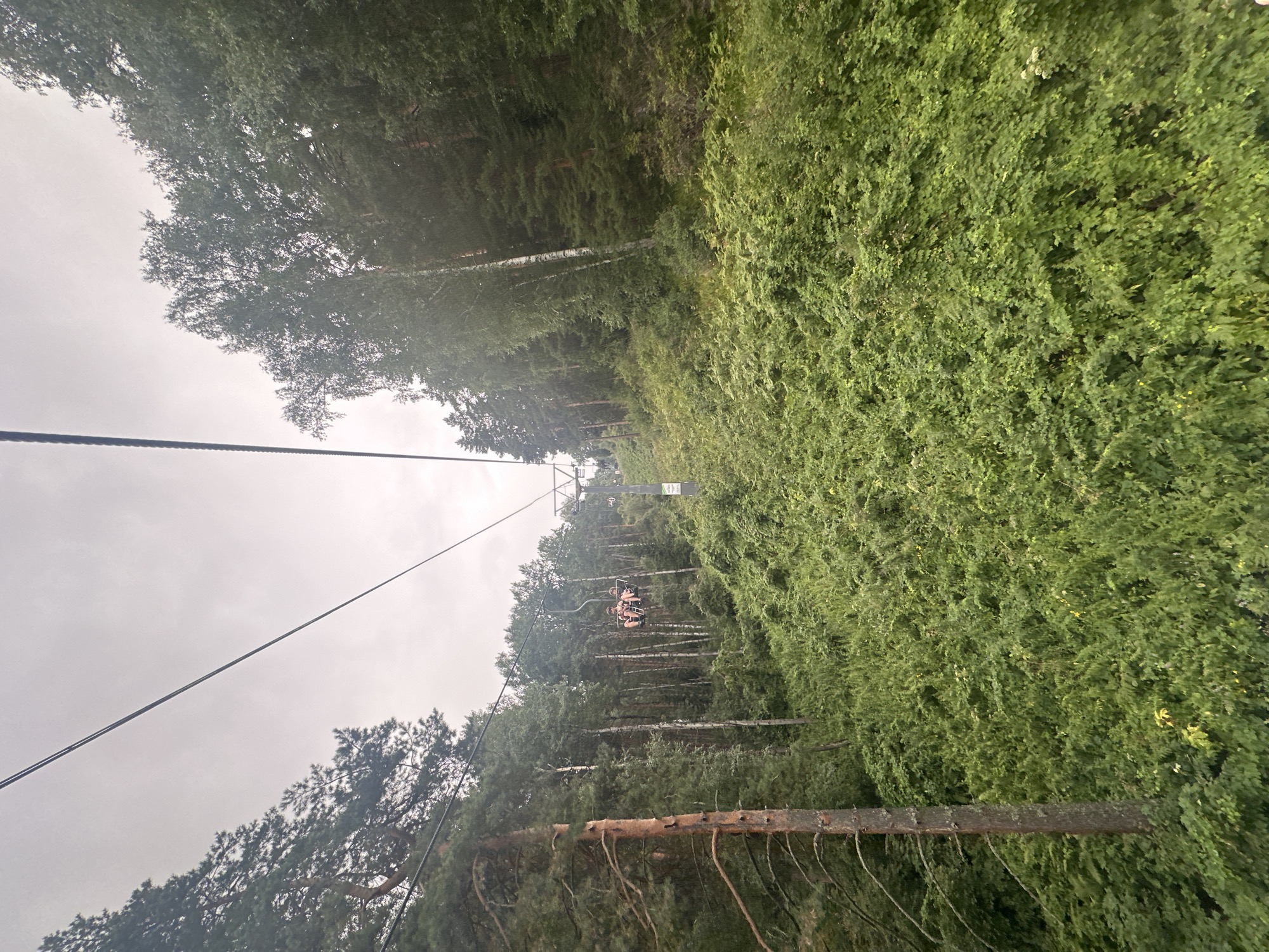 This image shows a view from a ski lift in Belokurikha, Russia, ascending a densely wooded hillside covered in lush green vegetation. The ski lift cables stretch diagonally across the frame, with a ski lift chair visible carrying two passengers. The surrounding environment is characterized by a variety of trees, including tall, slender birches and darker evergreens, interspersed with thick undergrowth. The sky is overcast, suggesting a cloudy or hazy day. The ski lift is positioned on a steep incline, with the dense foliage creating a vibrant, natural landscape.