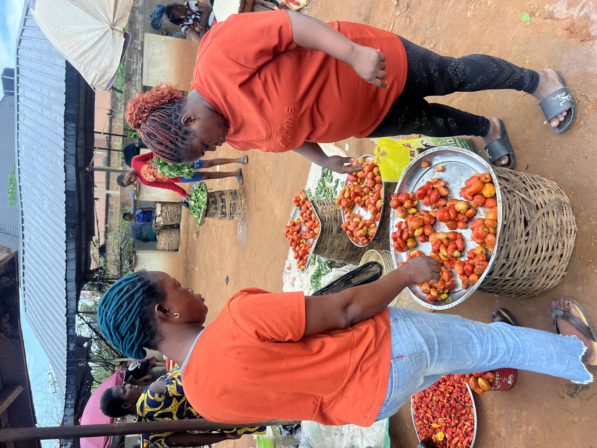 In Nkpor, Nigeria, two women are at a market stall, surrounded by produce. The woman on the left, with turquoise dreadlocks, wears an orange t-shirt and blue jeans. The woman on the right, with auburn braided hair, is dressed in an orange t-shirt and black leggings. They are examining a large metal tray filled with ripe tomatoes, which rests on a woven basket. To the left of the tray, another tray overflows with red peppers, and a red metal can, also full of tomatoes, sits on the ground. Behind them, other vendors and shoppers are visible, with market structures and umbrellas providing shade in the background. The ground is a dusty, reddish-brown dirt.
