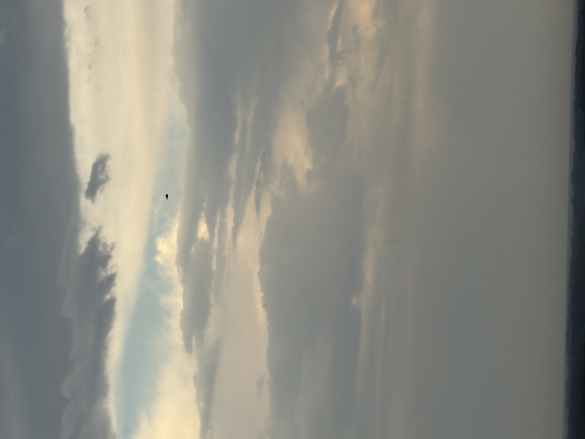 A low-angle, full-frame shot captures a vast, overcast sky over the city of Pavlodar, Kazakhstan. The sky is filled with a variety of clouds, ranging from dark, heavy gray formations at the top to lighter, wispy, and translucent clouds in the middle. Patches of soft, yellowish light break through in places, suggesting either dawn or dusk. In the upper middle section of the image, a small, dark silhouette of what appears to be a bird in flight is visible. The bottom of the image is dominated by a hazy, dark band, representing the distant cityscape and horizon of Pavlodar, with indistinct, dark shapes that could be trees or buildings. The overall mood is somber and atmospheric, with a sense of vastness and the fleeting nature of light.