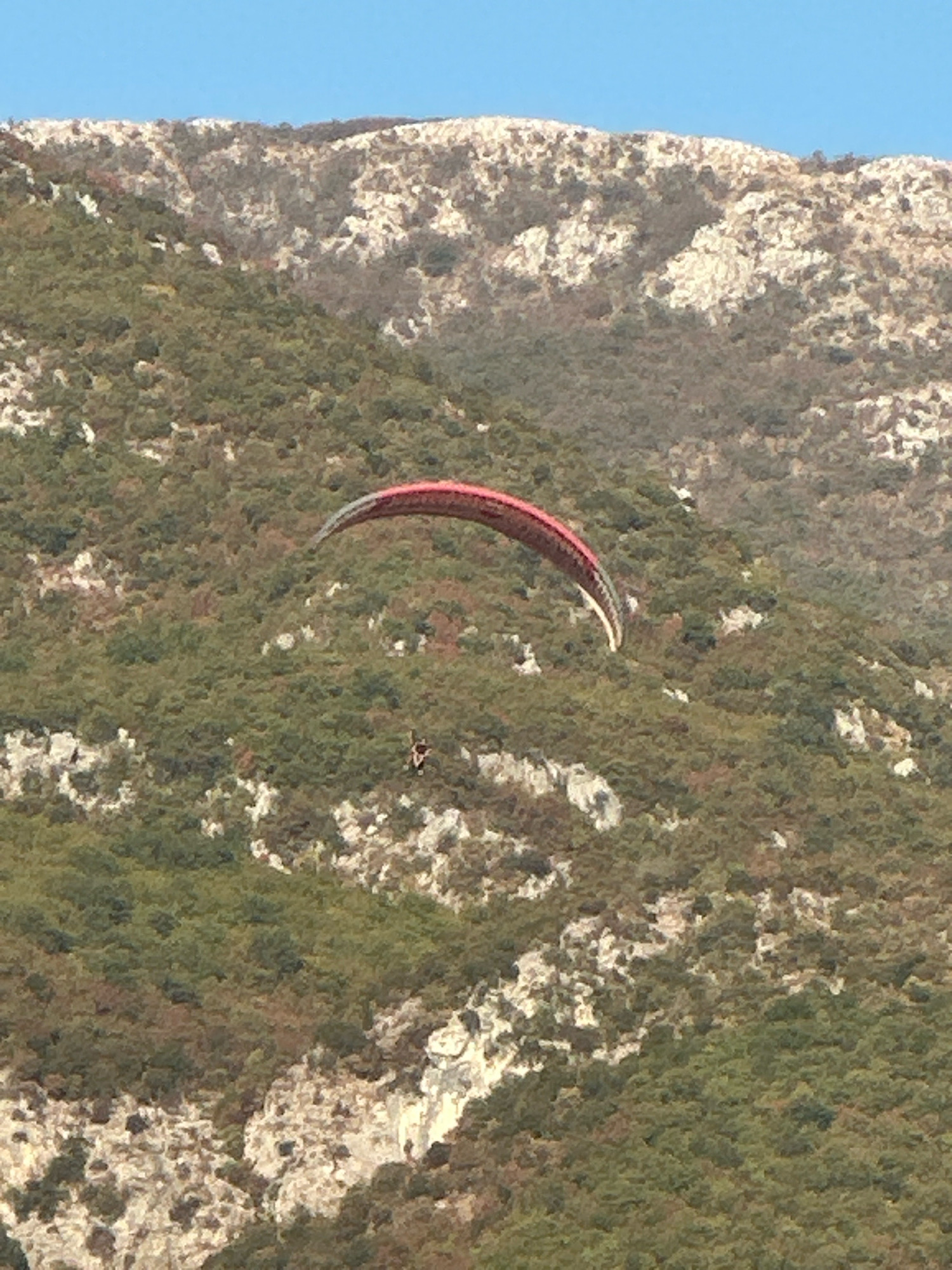 A paraglider with a red and grey wing is soaring through the air above a mountainous landscape in Boreti, Montenegro. The paraglider is positioned in the middle left of the frame, against a backdrop of green, shrub-covered slopes and lighter, rocky outcrops. The sky above is a clear, bright blue. The paraglider appears to be a single person. The image is a still photograph.