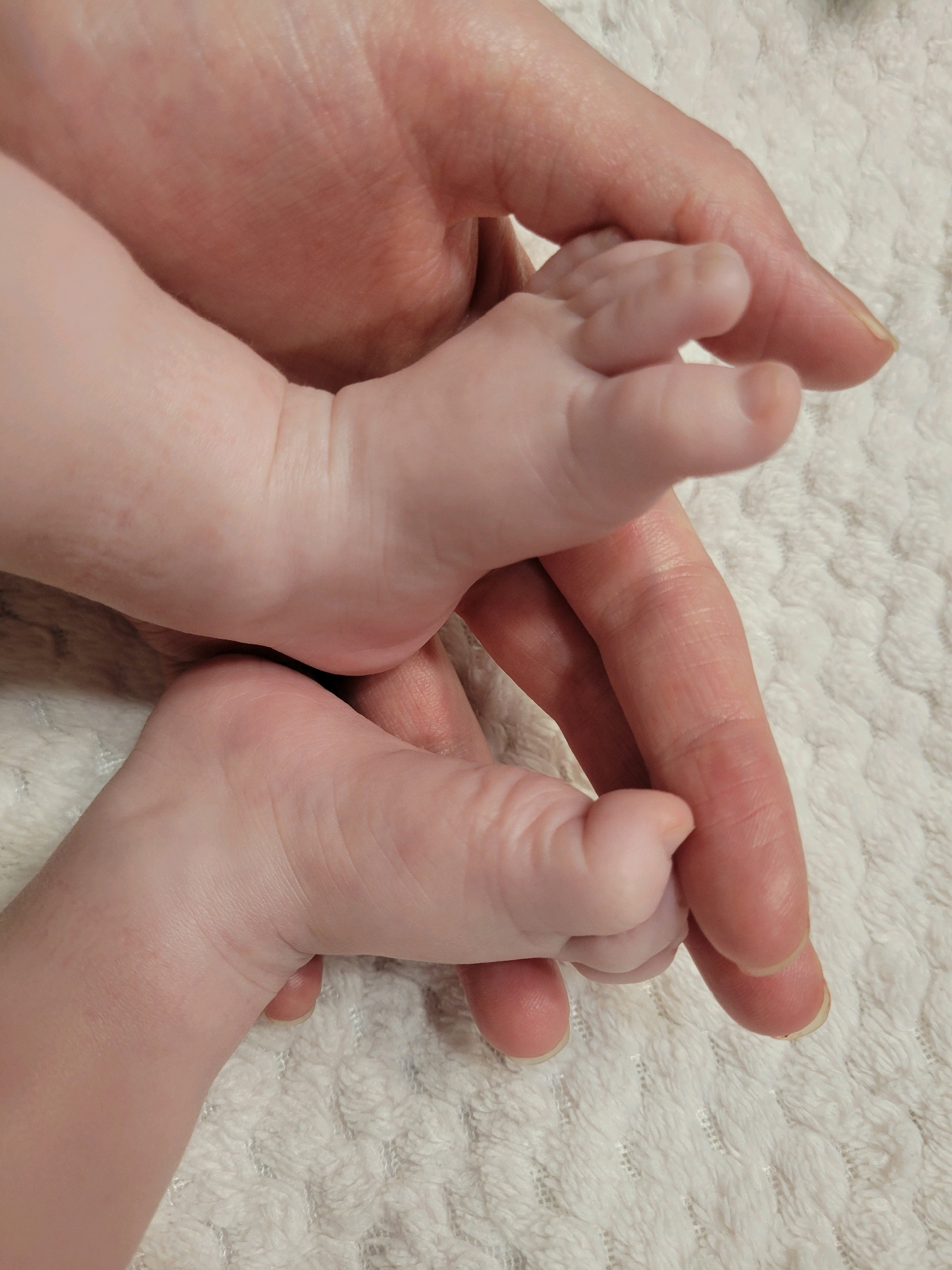 In a close-up, overhead shot, a pair of adult hands gently cradles a newborn's feet. The adult hands, belonging to an unidentified person, are positioned to support and protect the delicate infant feet. The baby's skin is pale and smooth, with tiny toes visible. The adult fingers are wrapped around the baby's ankles and soles. The background consists of a soft, white, textured blanket, suggesting a comfortable and domestic setting. The lighting is soft and diffused, highlighting the tenderness of the moment. The image is a static capture of a private interaction, devoid of any context related to the city of Geddes, United States.