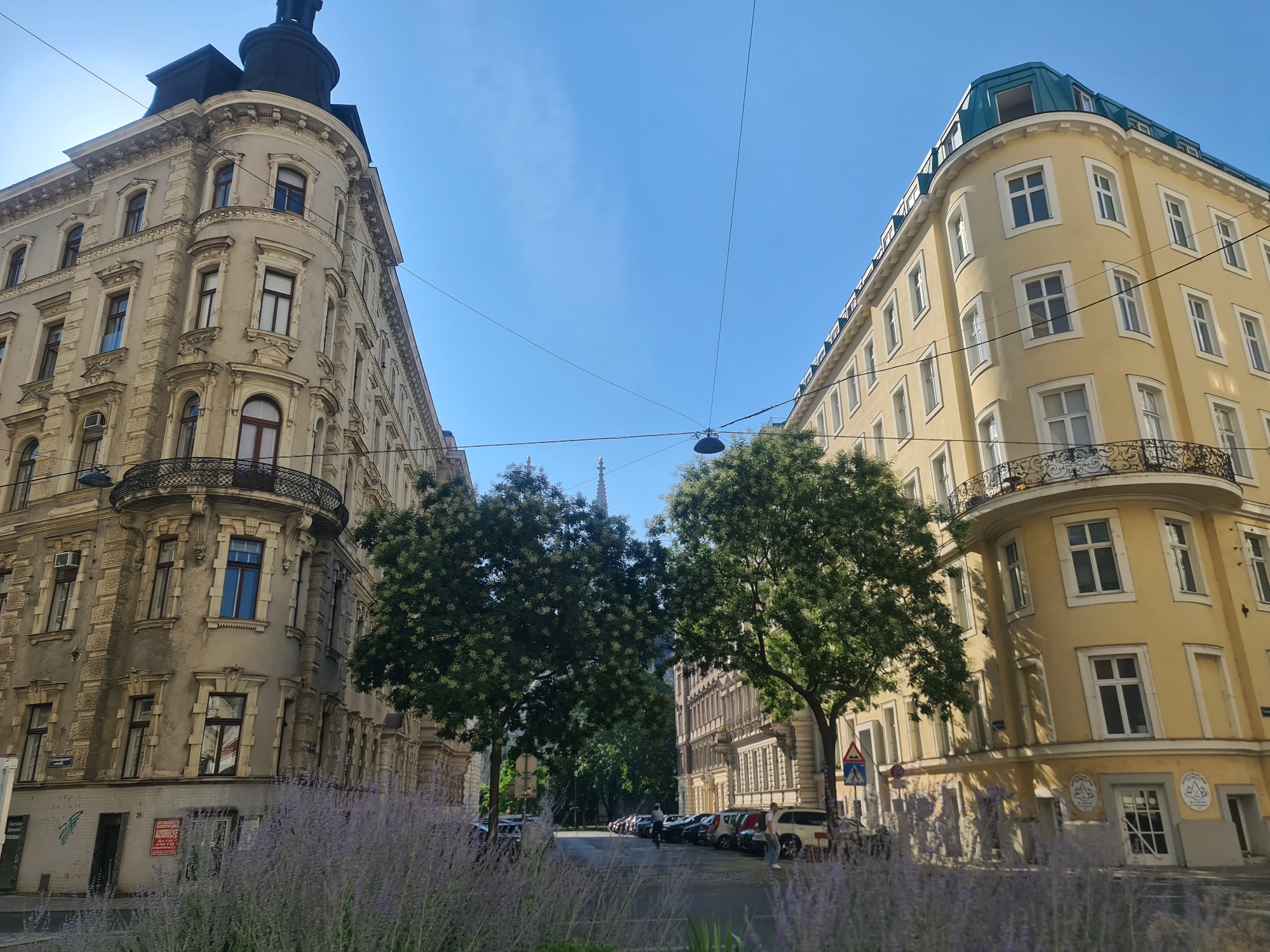 The image depicts an urban street scene in Vienna, Austria, likely during daylight hours under a clear blue sky. Two distinct architectural styles of buildings frame a street lined with parked cars and trees. On the left, a light-colored, ornate building with a dark, domed rooftop corner stands at an angle, featuring decorative stonework and arched windows. On the right, a bright yellow building with a teal-colored mansard roof corner dominates the view, characterized by a more streamlined facade and rectangular windows.
In the foreground, a bed of lavender-colored flowers adds a touch of nature to the urban landscape. The street is paved and appears to be a one-way thoroughfare, with several cars parked along the right side. Two people are visible on the right side of the street, one standing and looking towards the camera, the other appears to be walking. A cyclist is also visible in the middle of the street, further down, cycling away from the camera. Overhead, electrical wires crisscross the sky, and a streetlamp is visible. In the distance, the spire of a church or tall building can be seen peeking above the trees. The overall impression is of a European city street with a blend of historic and possibly more modern architectural elements.