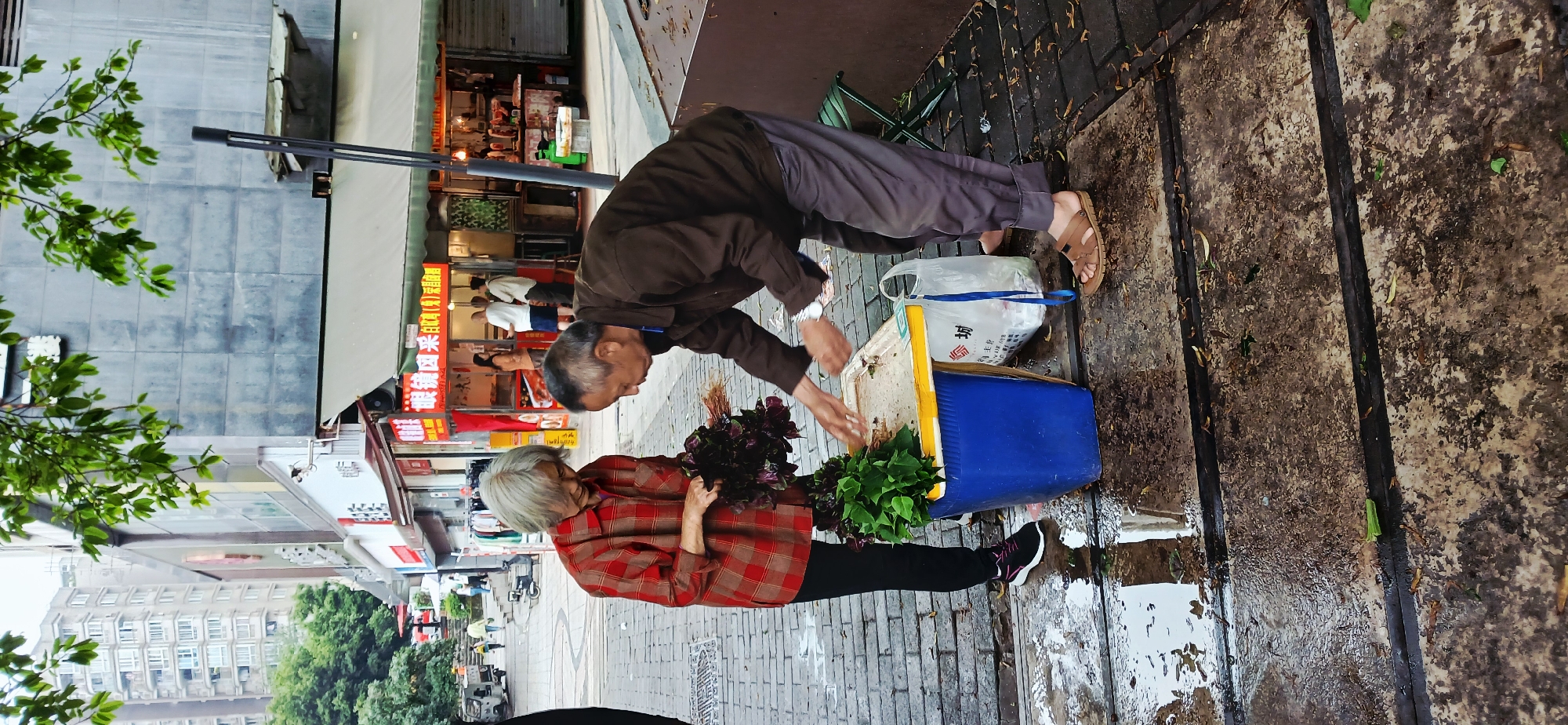 Two elderly individuals are on a brick sidewalk adjacent to a street lined with stores. An elderly woman with gray hair wears a red plaid shirt and black pants, holding bundles of purple and green leafy vegetables. An elderly man in a brown jacket and gray pants leans over a blue and yellow plastic bin, appearing to sort through or wash more vegetables. A white plastic bag sits next to the bin. The sidewalk shows signs of water or rain. The backdrop features various storefronts with signs in Chinese characters, indicating this is likely in the Jiulongpo District of China. The presence of nearby buildings and street lights suggests an urban setting.