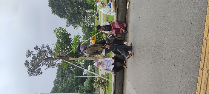 Memory