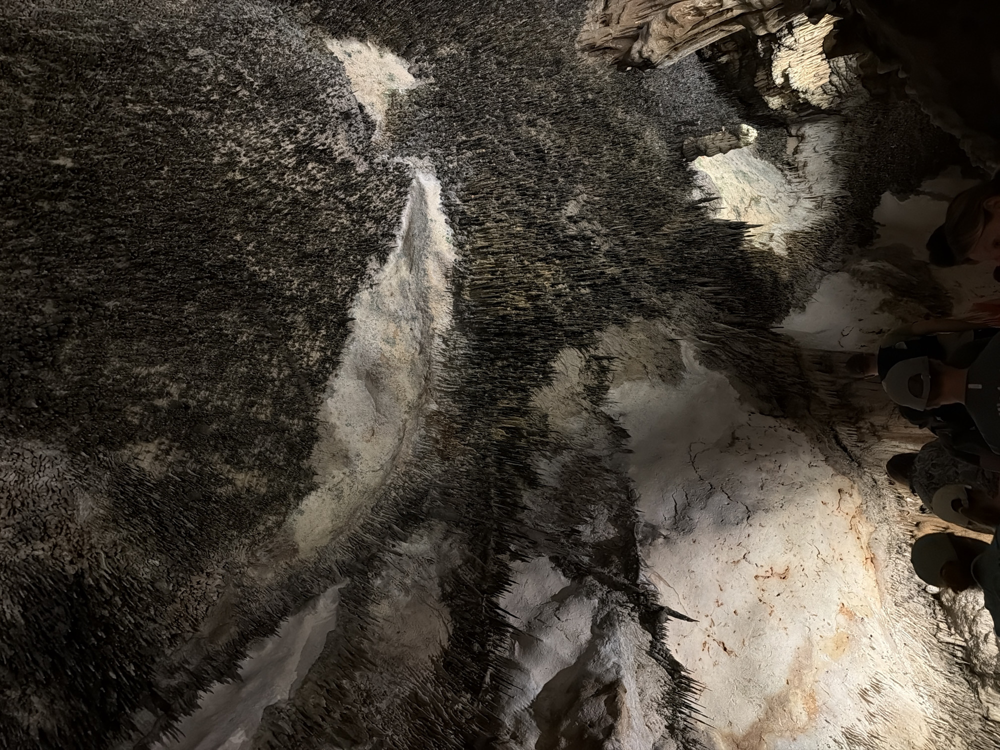 The image depicts an interior view of the Caves of Hams in Manacor, Spain. The scene is dominated by formations of speleothems, characterized by dark, needle-like structures covering portions of the cave ceiling. There are also areas of lighter-colored, smooth rock surfaces that appear to be illuminated by artificial lighting. Some individuals are visible in the lower-right corner of the image, suggesting that people visit the caves.