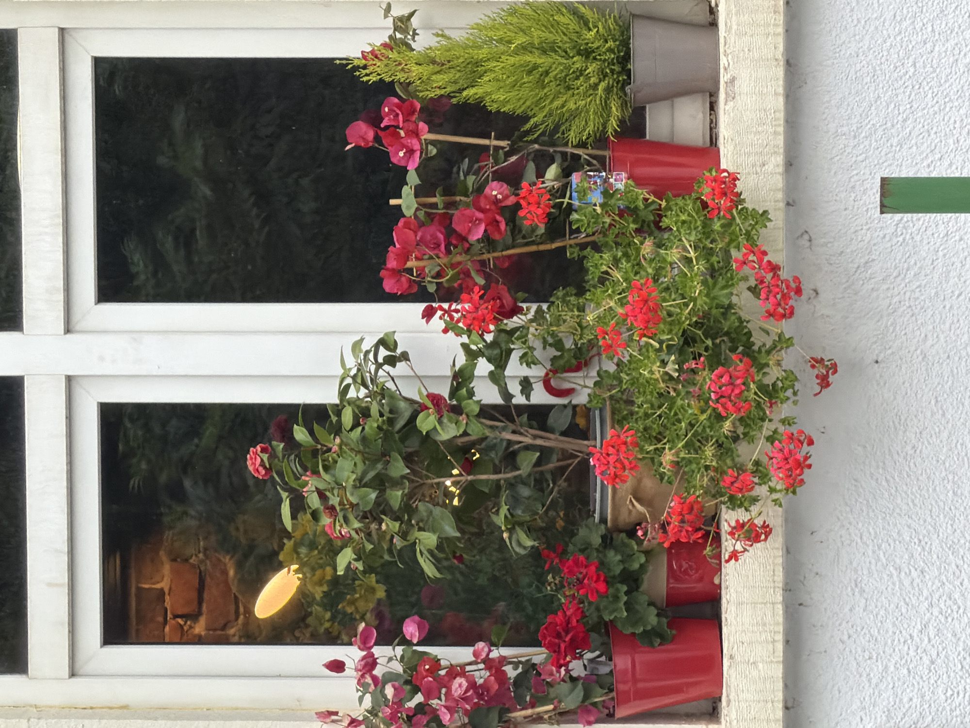 A window in Sofia, Bulgaria is filled with various potted plants. The plants are arranged in red pots within the window frame, including green foliage and red and pink flowers. A white wall is visible beside the window. The window reflects a darker scene, revealing a brick wall and foliage in the reflection. A green horizontal element extends from the building near the window frame.
