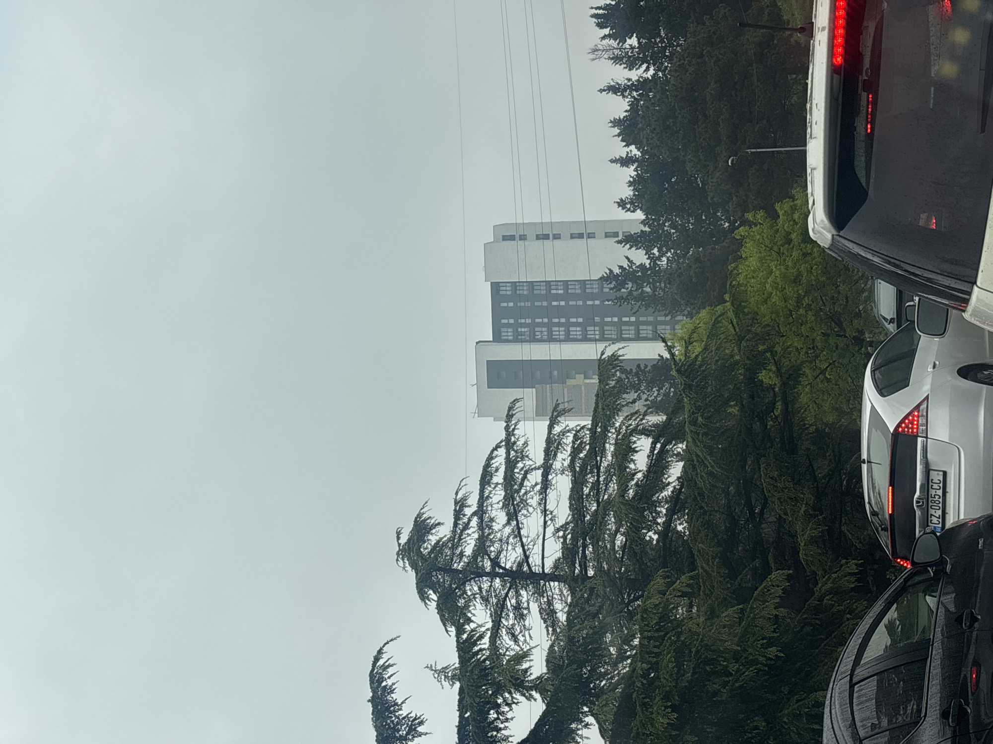 The image shows a congested street scene in Tbilisi, Georgia, taken from within a vehicle. The foreground is dominated by vehicles in traffic, including a black car and a white minivan with a license plate reading "CZ-085-CC." Dense, green trees and foliage fill the middle ground, partially obscuring a tall, modern building with a white and grey facade. Overhead power lines are visible. The sky is overcast and grey, suggesting a cloudy or rainy day. The image captures a typical urban environment with traffic and surrounding greenery, with the modern building indicating urban development in the background.