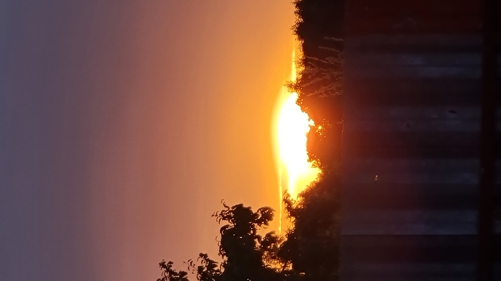 The image depicts a sunset over a residential area in Vysokoe, Russia. The sky transitions from a deep purple at the top to a bright orange near the horizon. Silhouetted trees and foliage are visible against the vibrant sky, with the sun appearing as a bright, glowing orb partially obscured by the treeline. In the foreground, a dark, vertical wooden fence dominates the lower portion of the frame. The fence appears weathered and has a textured surface. The scene captures a peaceful, natural moment at dusk.