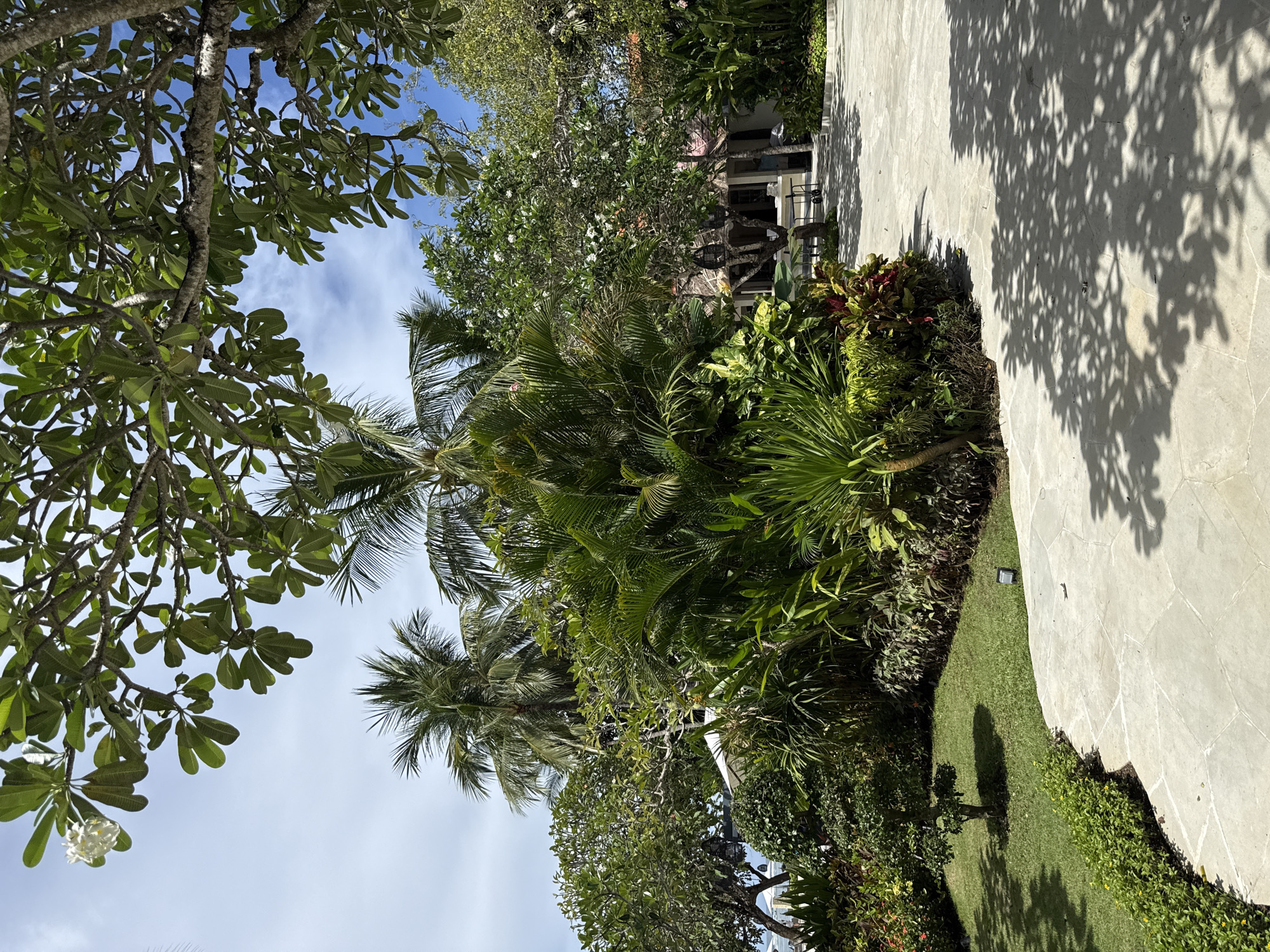 The image depicts a garden scene in Kuta Selatan, Indonesia. Lush tropical vegetation, including palm trees and flowering trees, dominates the frame. A paved area, likely a patio or walkway, is visible to the right, with shadows cast by the trees. A small patch of lawn is also present. The sky is blue with some clouds. The overall impression is a well-maintained, verdant outdoor space.