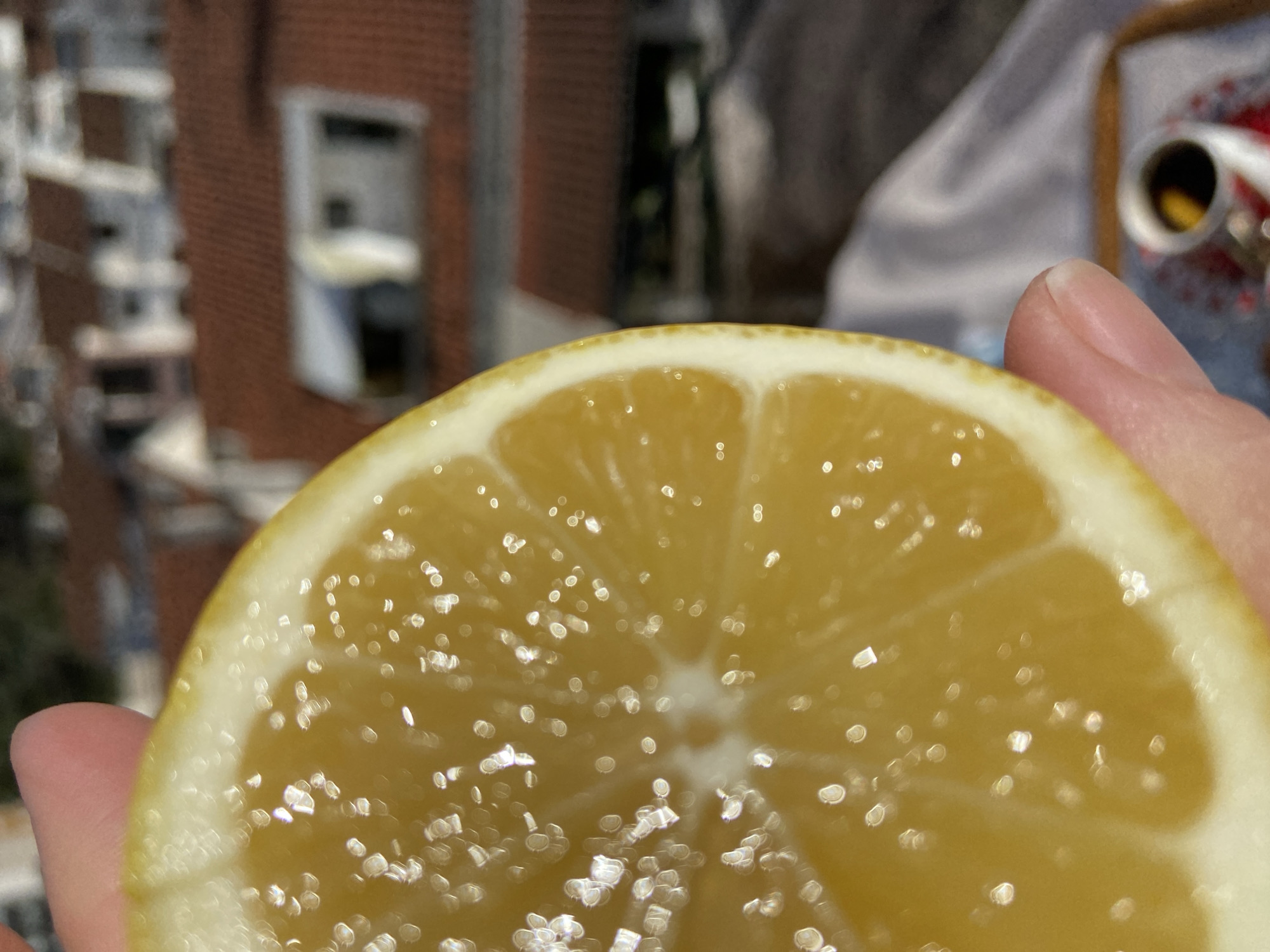 A close-up shot features a partially visible lemon slice held by a hand. The foreground contains a human hand (finger). The lemon slice is yellow, with a lighter-colored rim. Reflected highlights are visible on its surface. In the background, out of focus, are buildings, including one of a brick-like color with a window visible. The setting appears to be outdoors, possibly in an urban environment based on the architecture. It is not possible to confirm the image location to be in Budva, Montenegro with only these details.