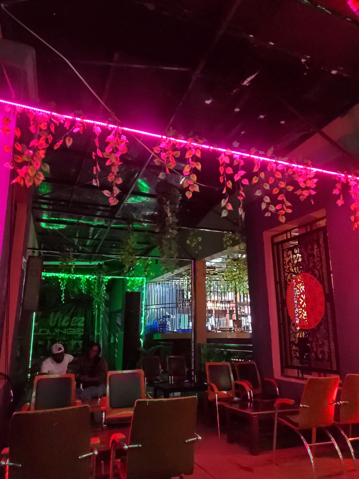 The image depicts an indoor lounge area, possibly a bar or a nightclub, in Jos, Nigeria. The scene is illuminated by vibrant pink and green neon lights, creating a moody and atmospheric ambiance. Artificial plants with pink and green leaves are draped from the ceiling, adding a decorative touch.
In the background, a sign reads "Vibez Lounge," identifying the establishment. Two individuals are seated at a table, one wearing a white cap and T-shirt, and the other is partially obscured. Several chairs are arranged around tables, suggesting a seating area for patrons.
The decor features a dark ceiling and walls, with a patterned screen and a red, circular lantern-like ornament mounted on the right wall, hinting at potential Asian influences in the interior design. The overall impression is that of a modern, dimly lit entertainment venue.