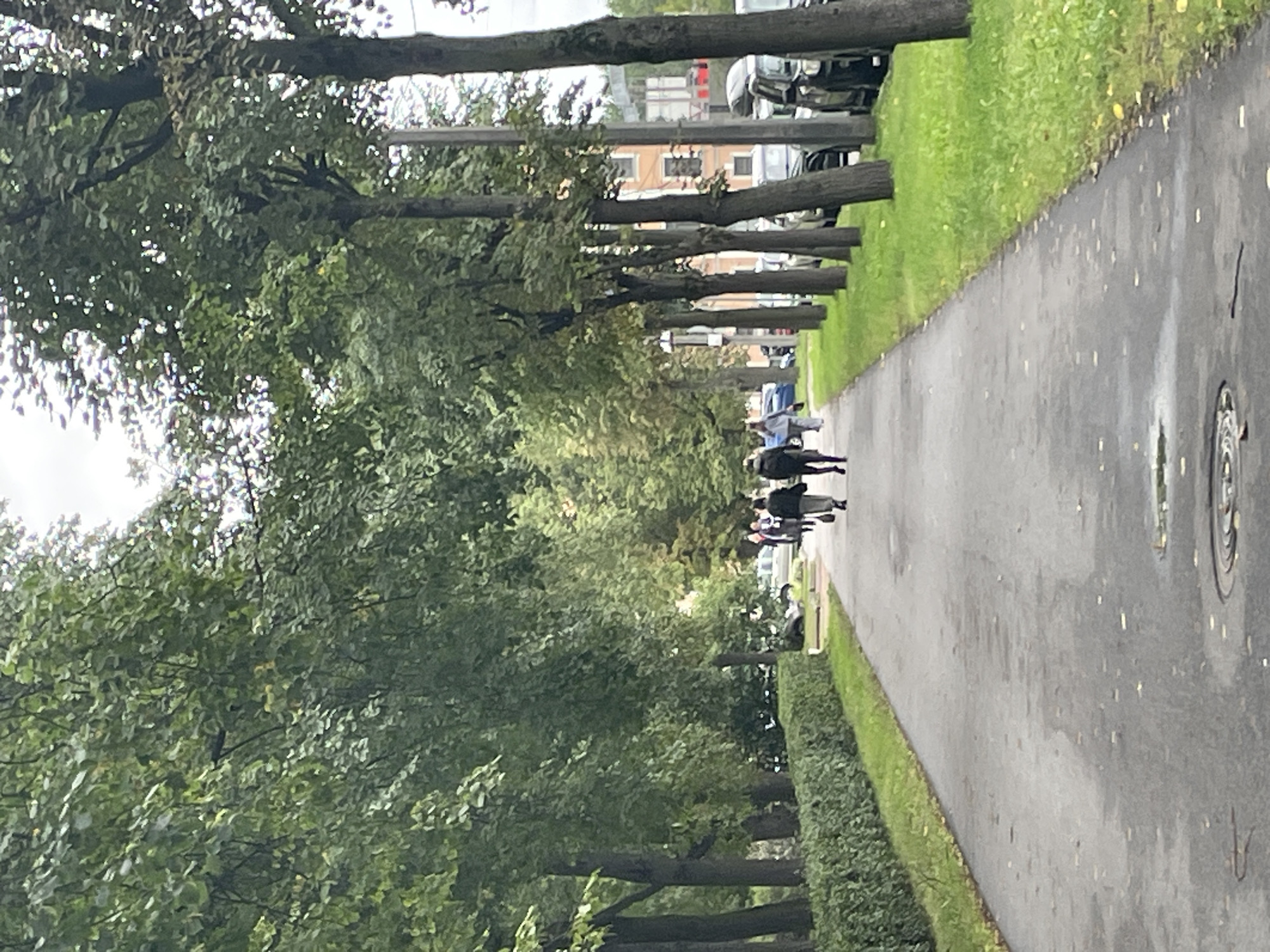 A paved pedestrian walkway runs through a tree-lined park in Saint Petersburg, Russia. The walkway is bordered on the left by a neatly trimmed green hedge and on the right by a grassy area with trees lining a street where parked cars are visible. Several people are walking on the path in the distance. The sky is overcast.