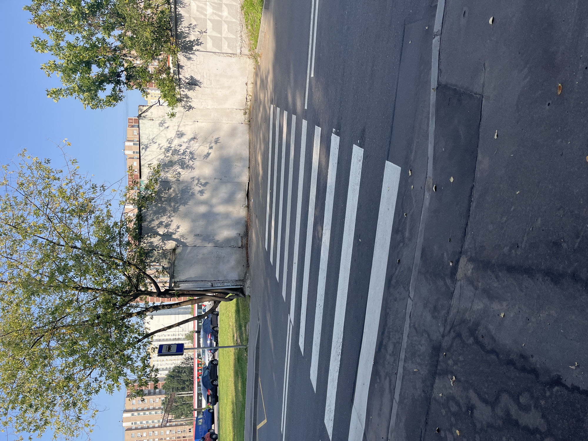 A pedestrian crossing with white stripes is visible on an asphalt road. In the background, there is a tall, light-colored concrete wall. To the left of the wall, a tree with green leaves stands, and behind it, several multi-story residential buildings are visible. A bus stop sign is also present next to the tree. Several cars are parked on the grassy area to the left of the road. The sky is clear and blue.
