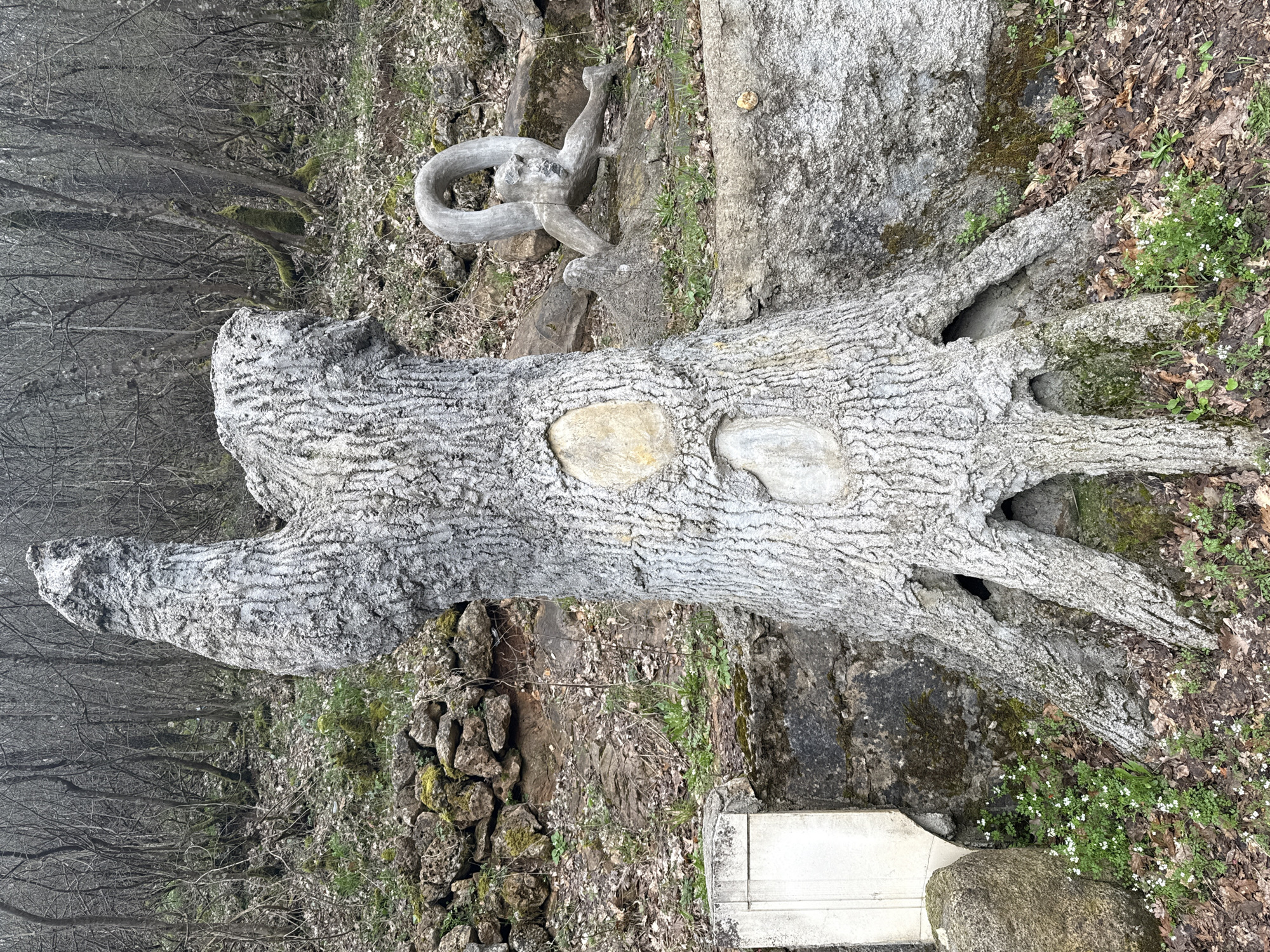The image depicts a stone sculpture in Konche, Bulgaria. The sculpture is a stylized tree trunk with two inset, light-colored stones. It is oriented horizontally in the frame, appearing as though fallen. The sculpture is located outdoors, surrounded by a natural environment including trees, rocks, and fallen leaves. There are also hints of a stone retaining wall and a small white architectural element partially visible near the lower edge of the sculpture.