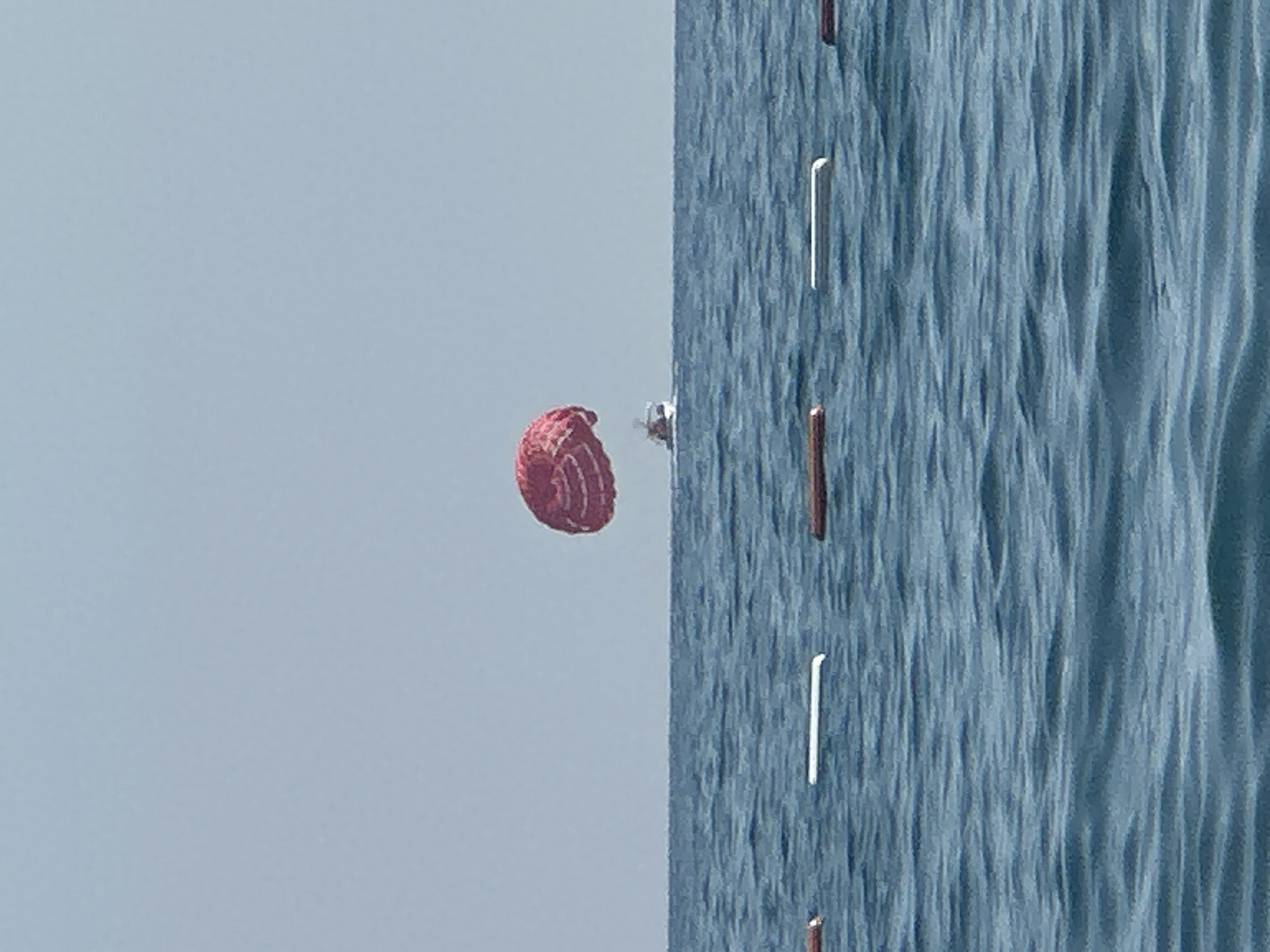 A red parasail is suspended in the sky above a calm, blue sea. A white boat is visible beneath the parasail, moving across the water. In the foreground, several white buoys are floating on the surface of the sea, marking a boundary. The sky is a clear, light blue, indicating fair weather. The scene appears to be at a beach resort or a similar recreational area. The image captures a moment of leisure activity, likely parasailing, on a sunny day at sea.