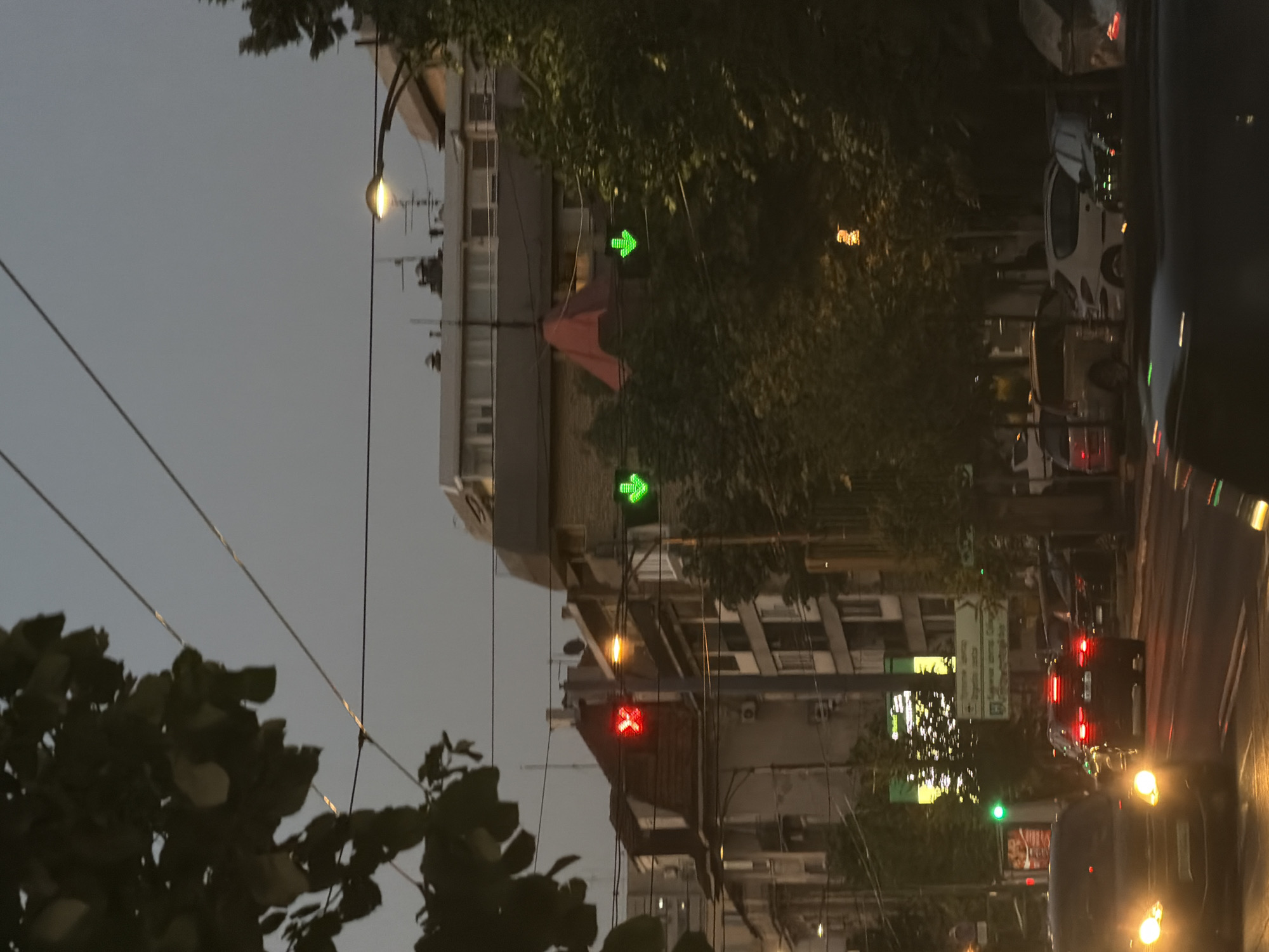 The image depicts a street scene in Belgrade, Serbia, at dusk or dawn. The view is along a road lined with buildings and trees. Traffic lights are visible with green and red indicators. Cars are present on the road, including vehicles with illuminated headlights and taillights. There are streetlights providing illumination. The sky is overcast. There is dense foliage on the left side of the frame. Buildings are visible in the background and there is road signage. Electrical wires are also visible.
