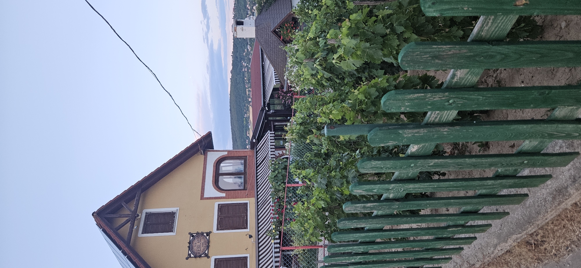 The image depicts a residential property with a vineyard, situated in Hévíz, Hungary. In the foreground, a weathered green wooden fence runs horizontally across the frame. Behind the fence, a dense vineyard with lush green foliage dominates the midground, with rows of grapevines stretching out of view. A chain-link fence with red metal posts is visible behind the vineyard.
In the background, a two-story, yellow-painted house with a gabled roof and brown shutters is prominent. A sign with the word "REBLAK" is affixed to the house's exterior. Adjacent to this house, a section of an outdoor dining area or patio is visible, featuring striped awnings and seating. Further in the distance, the rolling hills of the Hévíz landscape are visible, dotted with buildings and greenery, under a pale blue sky. The overall impression is one of a rural or semi-rural setting, likely a family home with a focus on viticulture or a vineyard-themed business. No people are visible in the image.