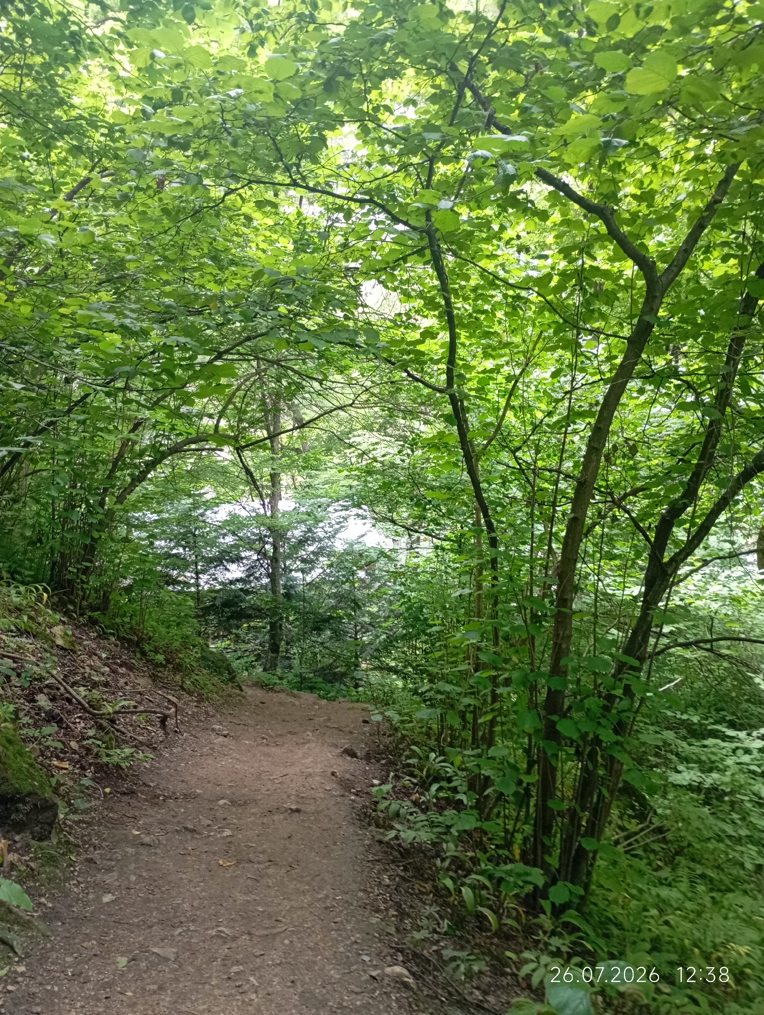 A dirt path winds through a dense forest. The path is approximately two meters wide and appears to be unpaved, with loose dirt and small stones. Sunlight filters through the thick canopy of green leaves overhead, dappling the path and the surrounding undergrowth. On the left side of the path, the terrain slopes upwards, covered in mossy rocks and fallen leaves. On the right side, the forest continues with various trees and dense green foliage. In the distance, through a break in the trees, a body of water, possibly a lake or river, is visible, bordered by more trees. The overall impression is a natural, undeveloped environment. The date and time stamp "26.07.2026 12:38" is present in the lower right corner of the image. There are no people or animals visible in the scene.