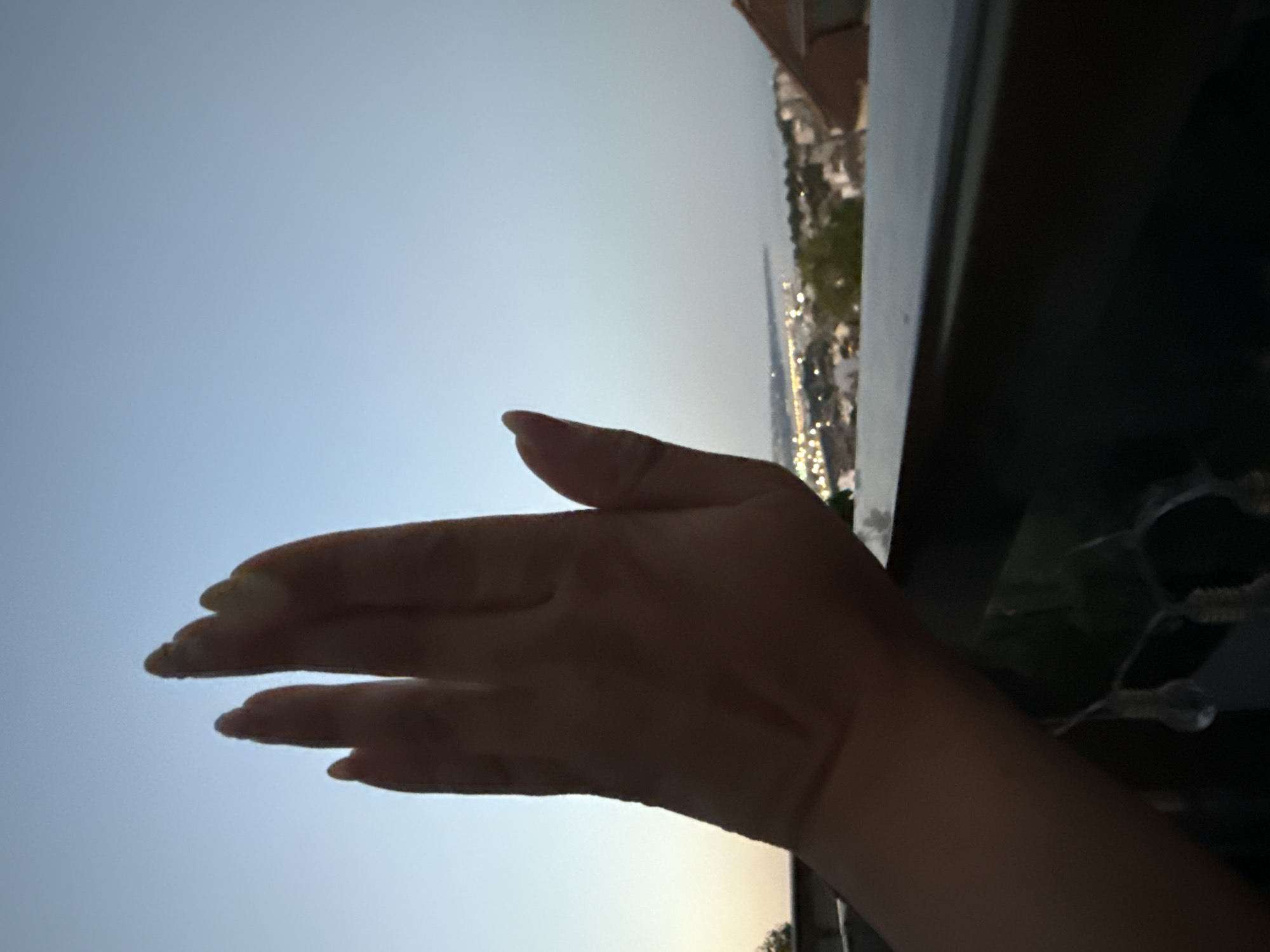 The media file is a photo of a person's hand held up against a sky with a city skyline in the background. The hand is in the foreground, silhouetted against the bright sky. The fingers are spread apart, and the palm is facing the camera. The city skyline is blurred and appears to be at a distance. The sky is a pale blue, suggesting it is either early morning or late evening. The overall mood of the image is serene and contemplative. There is no visible text in the image.