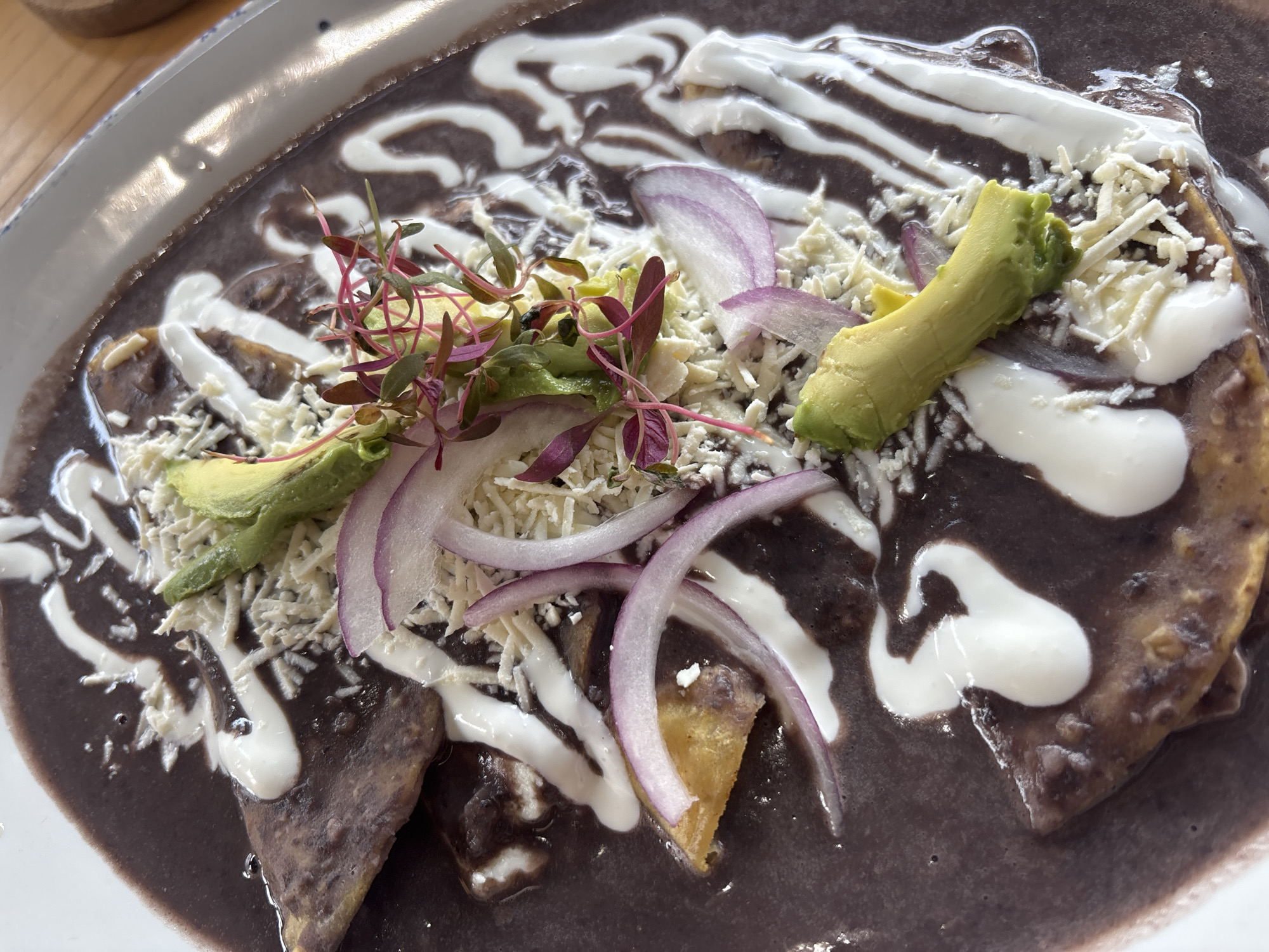 A close-up shot of a plate of enchiladas in Domingo Arenas, Mexico. The dish consists of what appear to be corn tortillas, covered in a dark sauce, likely mole negro, topped with a zigzag pattern of sour cream, shredded cheese, avocado slices, red onion slices, and sprouts. The plate is white with a slightly raised edge. The lighting is diffused, suggesting an indoor setting.