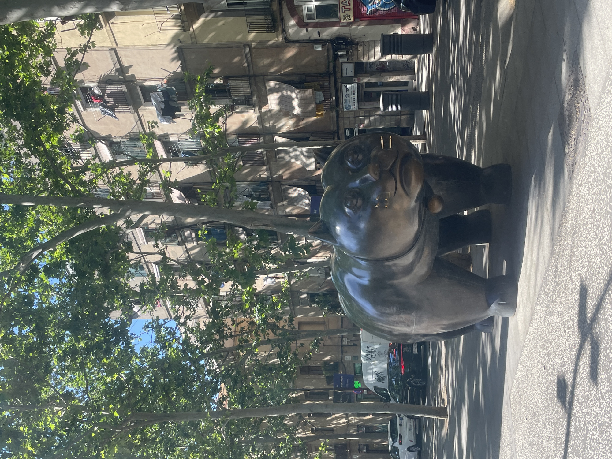 The image captures a street scene in Barcelona, Spain. The foreground is dominated by a bronze sculpture of a cat, its surface reflecting the sunlight. In the background are multi-story residential buildings with balconies, some with laundry hanging out to dry. The street is lined with trees casting shadows across the sidewalk, where there is a small row of trashcans. A few vehicles are visible parked along the curb, one of which is a delivery van. There are no visible people in the immediate frame. The light suggests a sunny day.