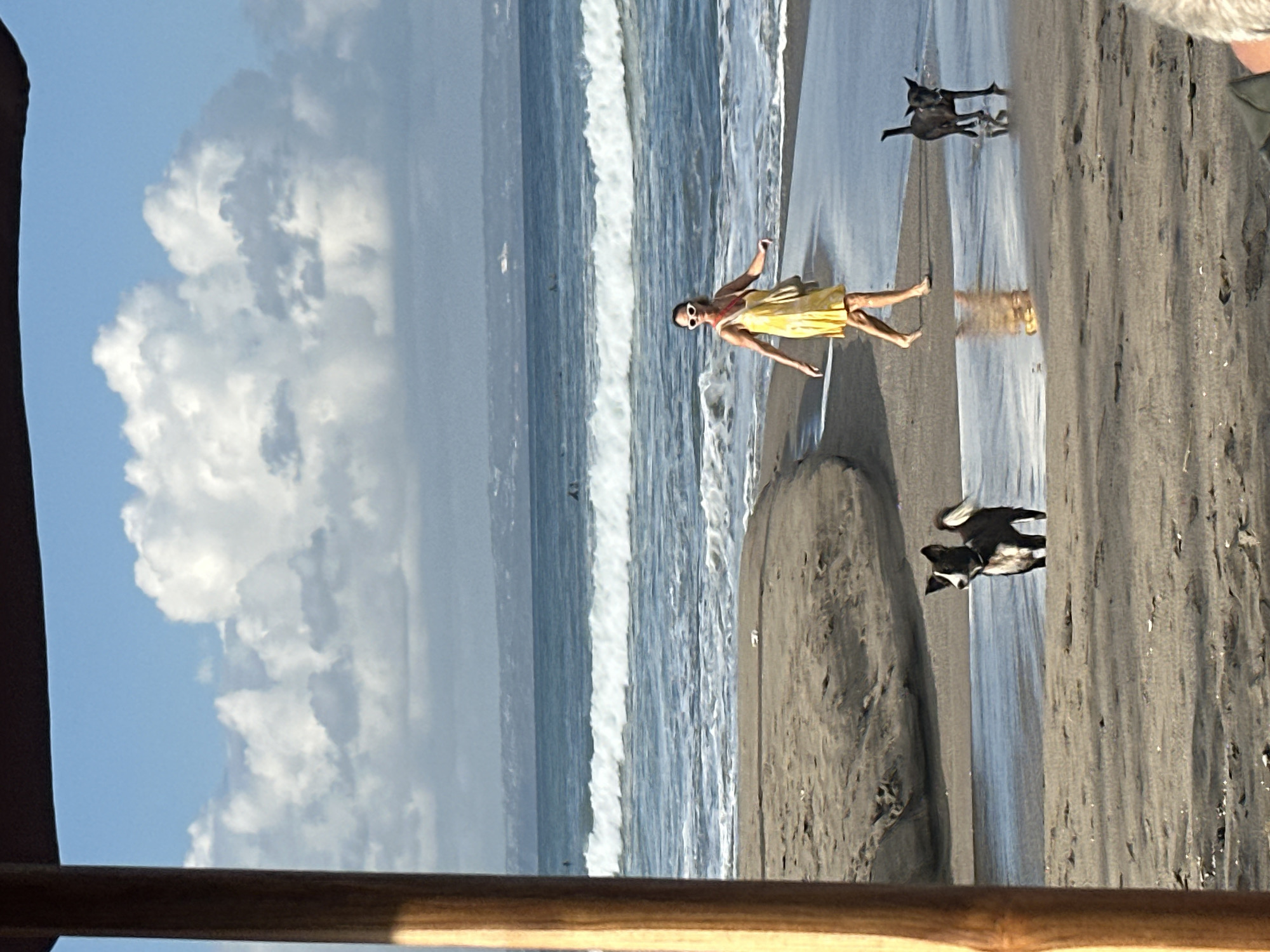 A woman in a yellow dress and sunglasses walks on a beach in North Kuta, Indonesia, with two dogs. The woman is in the middle ground, walking from left to right. She has a bag slung over her shoulder. A small black dog is to her right, and a black and white dog is to her left. The dogs appear to be walking towards the ocean. The beach is sandy, with a stream of water running through it. The ocean is in the background, with waves breaking on the shore. The sky is blue with white clouds. The scene is illuminated by daylight.
