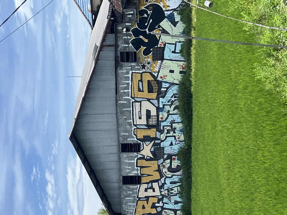 The image captures a static outdoor scene in Tumbak Bayuh, Indonesia. A single-story building dominates the midground, featuring a weathered corrugated metal gable roof and an upper wall section of matching material. The lower section of the building's concrete wall is entirely covered with extensive graffiti. The graffiti displays bold, blocky, yellowish-brown letters with white outlines, forming "REW*156," with a star symbol replacing the 'E' in "REW." Below this, a dense layer of intricate, stylized graffiti in light blue, green, and black hues covers the remainder of the wall. Several rectangular openings or windows are visible within the graffiti-covered wall, some fitted with decorative grates. In the foreground, a vast expanse of lush, vibrant green vegetation, consistent with a rice field, stretches across the width of the frame, bordered by a strip of darker green bushes directly in front of the building. The sky above is clear blue with scattered white cumulus clouds. Black utility lines are visible in the upper right portion of the frame. No individuals are present.
