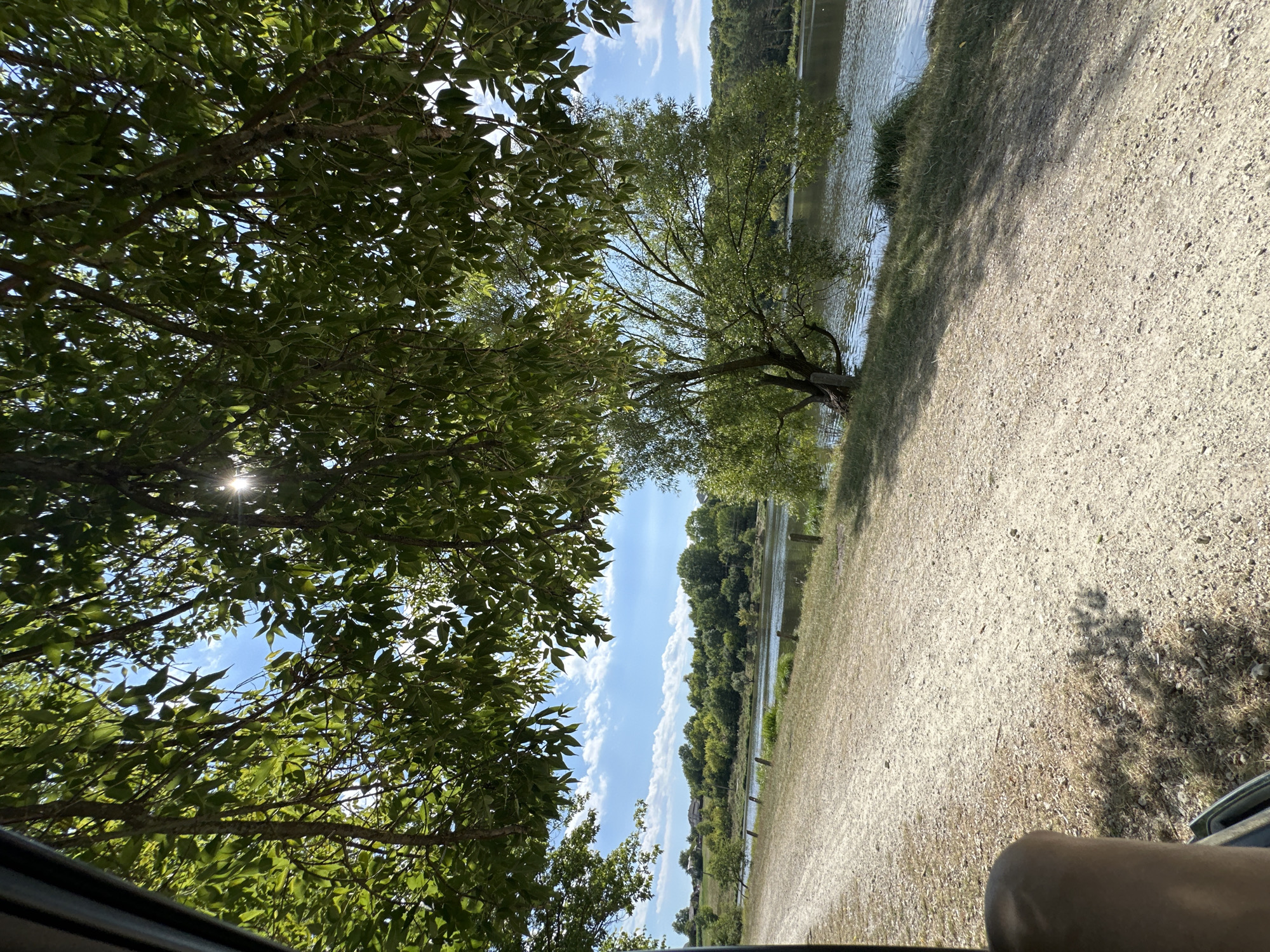The image depicts a tranquil waterside scene with a dirt path in the foreground. Lush green foliage from overhanging trees frames the top of the image, with sunlight filtering through the leaves and casting dappled shadows on the path. To the right, a calm body of water stretches towards a distant treeline. The path, composed of gravel and dry grass, runs alongside the water, bordered by sparse vegetation and a few wooden posts. In the background, a gentle slope is covered with trees and some houses are visible on the horizon. A single large tree with drooping branches stands prominently on the bank of the water. The sky is bright blue with scattered white clouds. A partial view of a person's leg and knee is visible in the lower left corner of the frame, suggesting the photograph was taken from a vehicle or while seated. The overall atmosphere is peaceful and natural, indicative of a rural or park-like setting. The location is identified as Makiv, Ukraine.