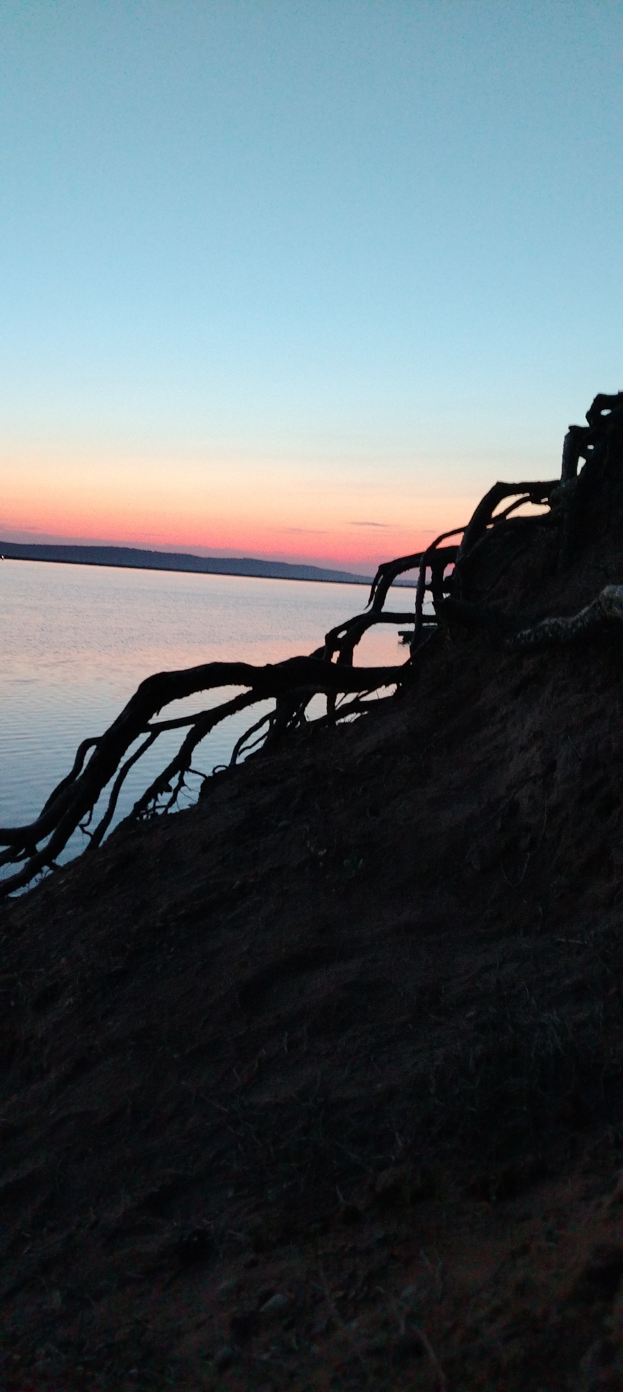 The image captures a landscape at dusk near the Kama Reservoir in Chaikovsky, Perm Krai, Russia. The sky shows a gradient of colors, transitioning from blue at the top to pink and orange near the horizon, indicating the sunset. The calm water of the reservoir reflects the colors of the sky. The foreground is dominated by a dark, steep embankment with exposed tree roots extending towards the water, silhouetted against the sky. The embankment is composed of dark soil and organic material. The lighting suggests it is close to twilight. No people or animals are visible.