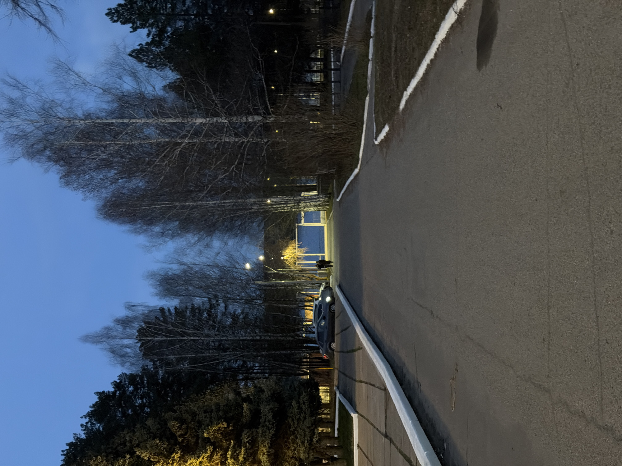 The image captures an outdoor scene at dusk or early night in Chaikovsky, Russia. A paved asphalt road or pathway extends from the foreground into the distance, delineated on its right edge by a prominent white line. The sky above is a clear, deep blue, indicating twilight or the early hours of night.
The road is bordered by numerous trees on both sides. On the left, a row of tall, deciduous trees with slender, bare branches (possibly birches) stands out against the sky, with darker, evergreen foliage visible further back. More dense, dark trees line the right side of the path.
Multiple streetlights are illuminated along the road, casting warm yellow-orange light that illuminates sections of the path and the tree trunks. A dark-colored car, likely gray or dark blue, is parked on the right side of the road, facing away from the viewer, with its headlights brightly lit. Further down the path, near another streetlight, a single person is visible, their form indistinct in the low light, appearing to be walking or standing.
In the distance, through the trees on the left, faint outlines of a building with some dimly lit windows can be discerned. The scene conveys a quiet and peaceful atmosphere, typical of a park, campus, or a tree-lined residential street after sunset. There is no visible text in the image. The weather appears calm and clear.